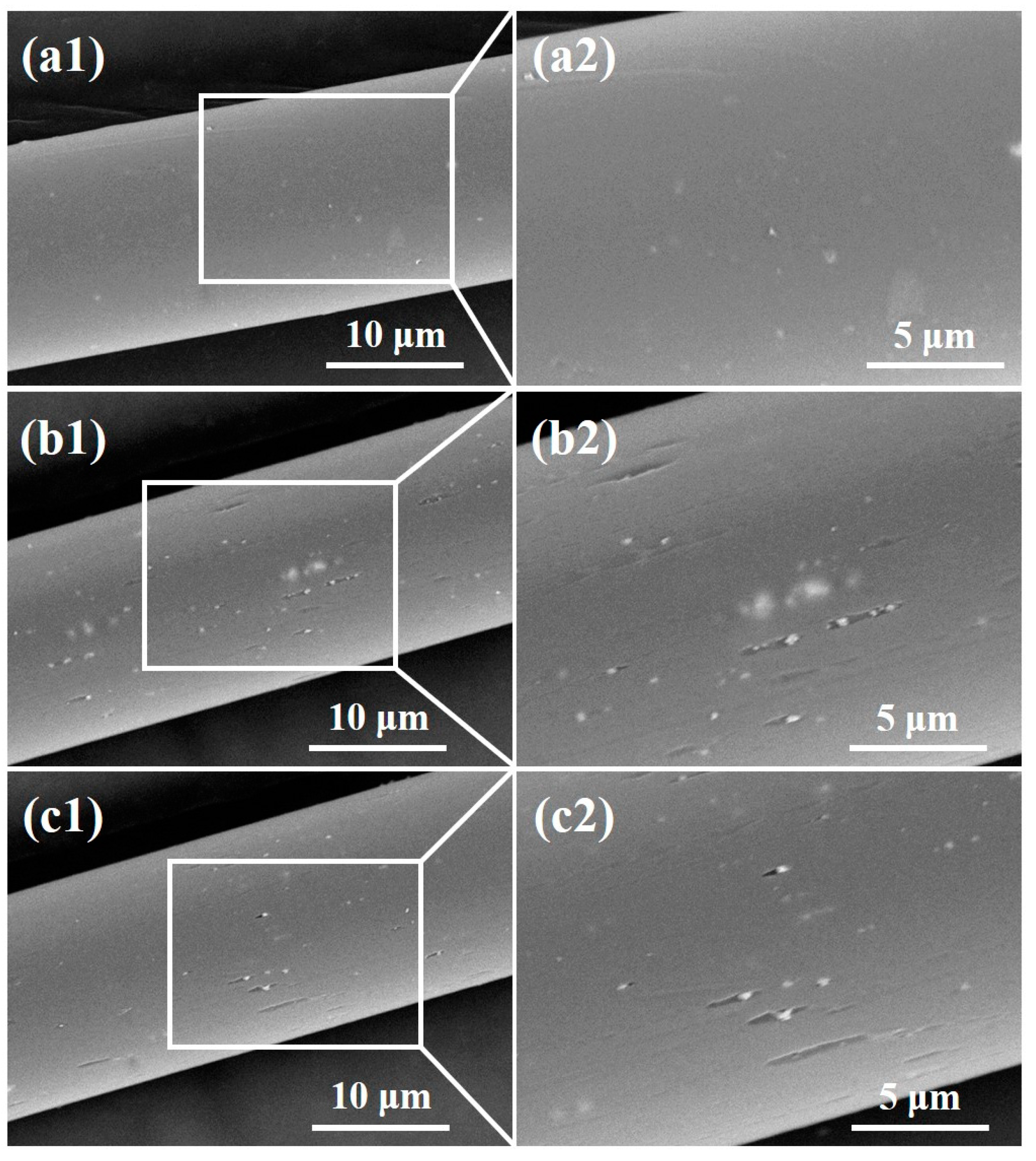 Polymers 12 01360 g004 Polymers 12 01360 g004
