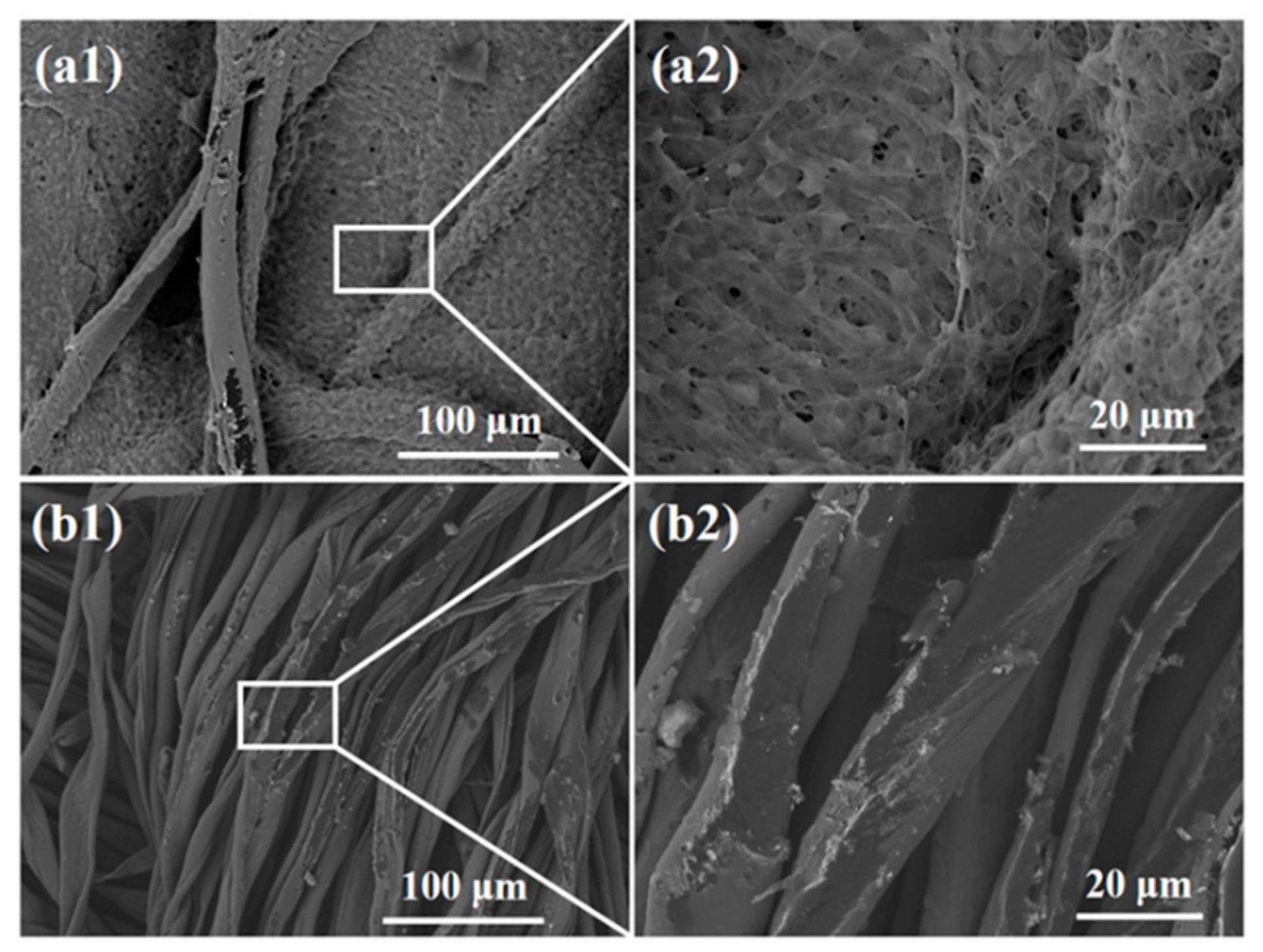 Polymers 12 01360 g011 Polymers 12 01360 g011