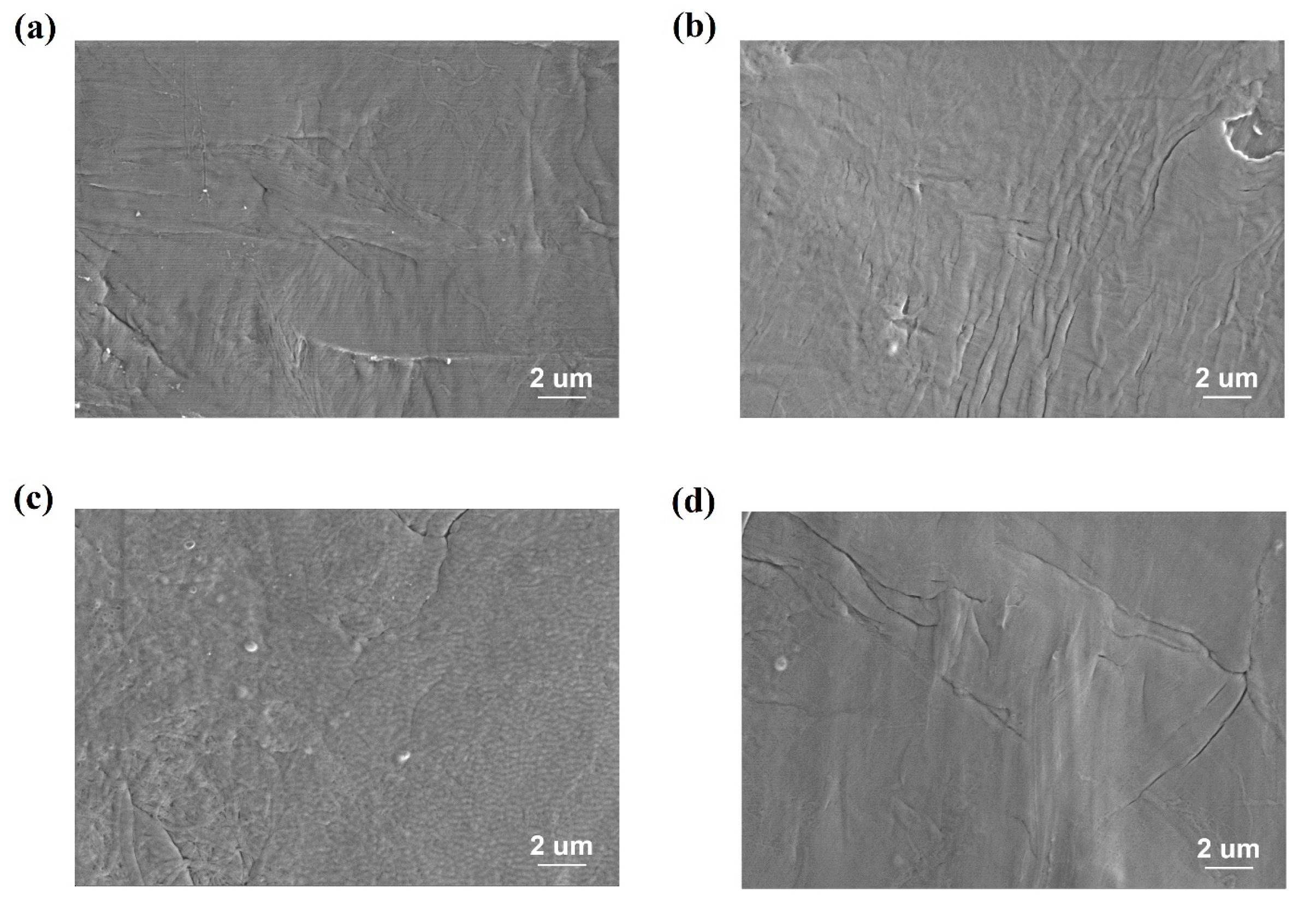 Polymers Free Full Text Effect Of Dielectric Barrier Discharge Dbd Treatment On The Dielectric Properties Of Poly Vinylidene Fluoride Pvdf Based Copolymer Html Polymers Free Full Text Effect Of Dielectric Barrier Discharge Dbd Treatment On The Dielectric Properties Of Poly Vinylidene Fluoride Pvdf Based Copolymer Html