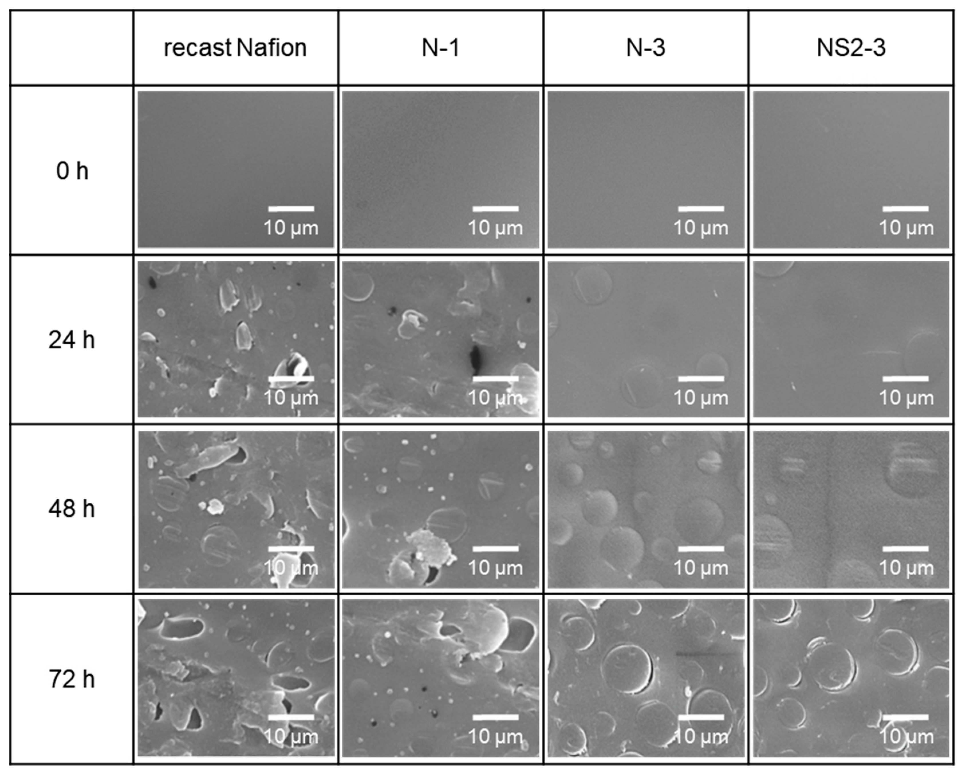 Polymers 12 01375 g006 Polymers 12 01375 g006