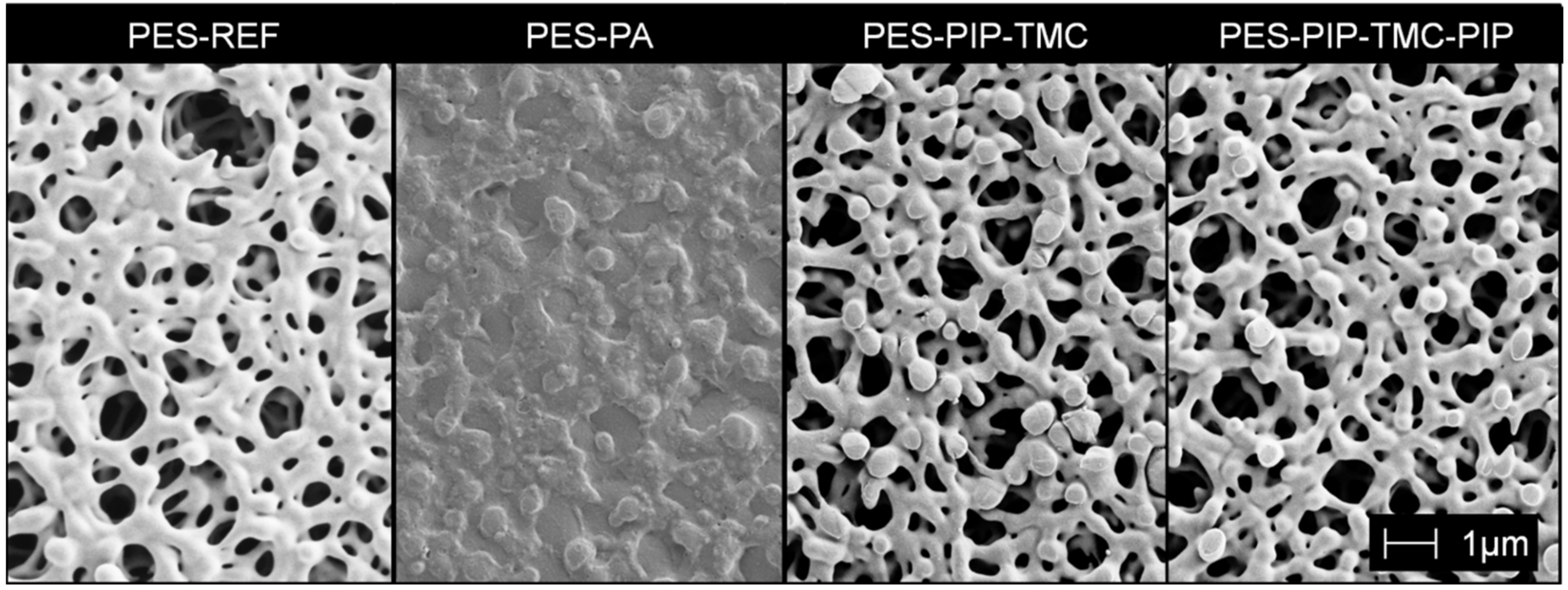 Polymers 12 01379 g003 Polymers 12 01379 g003