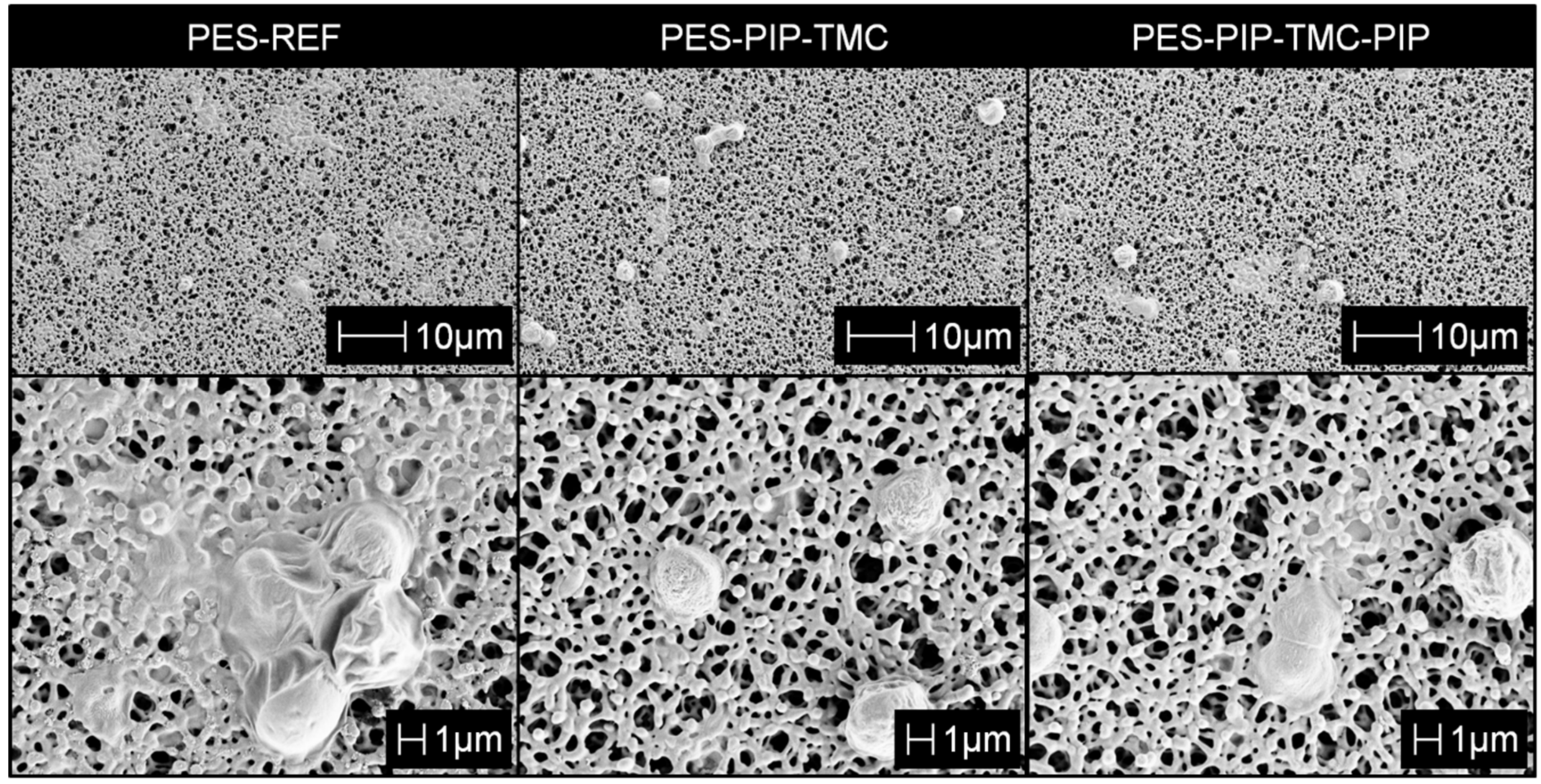 Polymers 12 01379 g005 Polymers 12 01379 g005