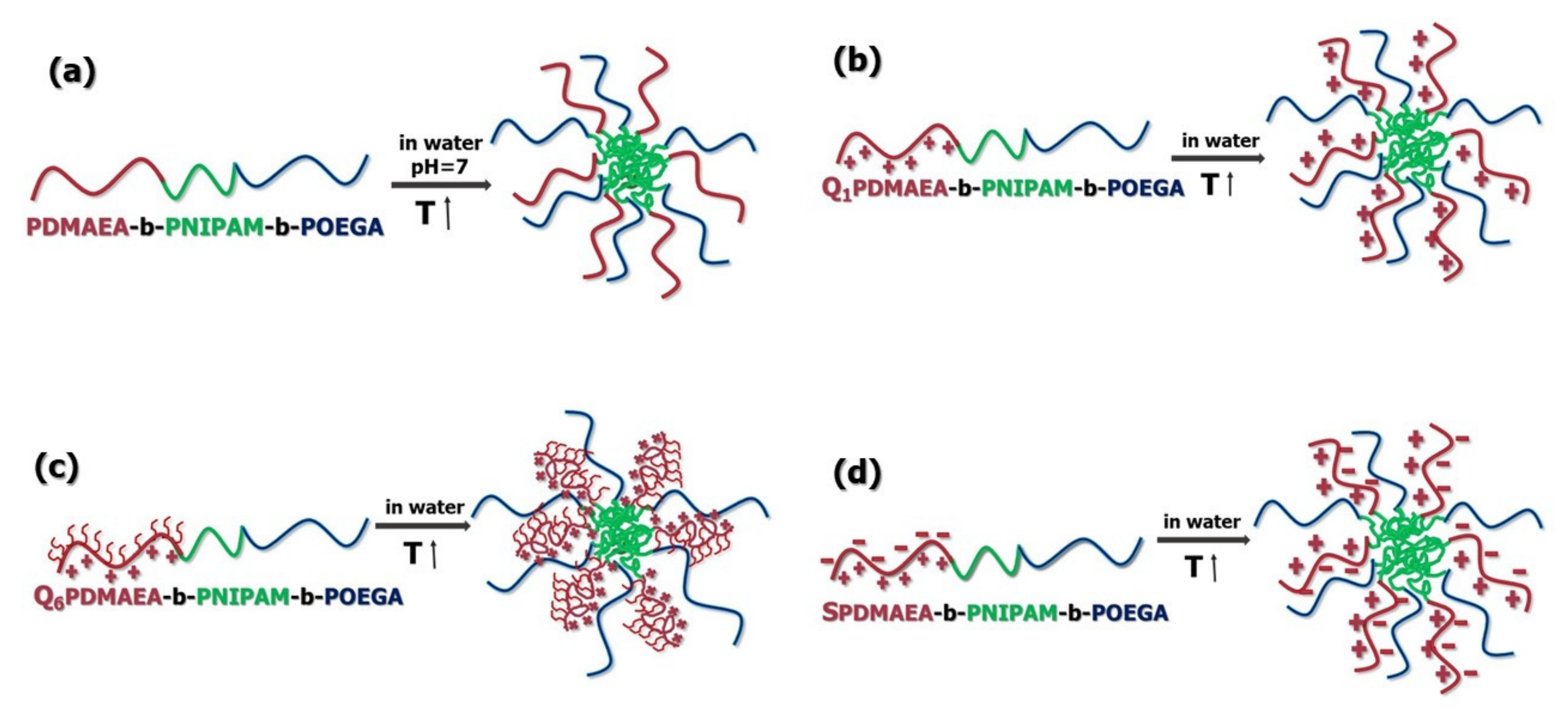 Polymers 12 01382 sch003 Polymers 12 01382 sch003