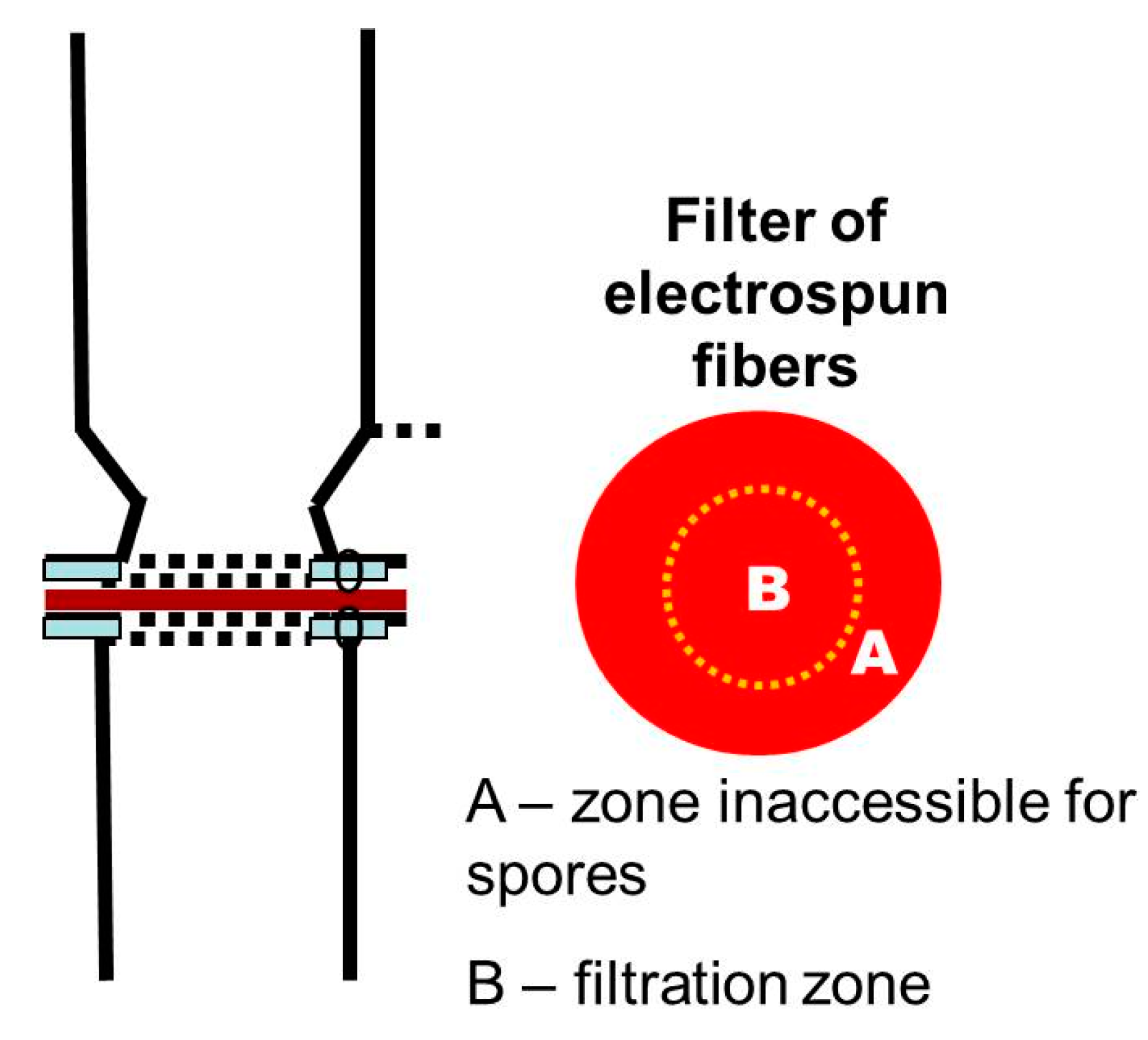 Polymers 12 01384 g008