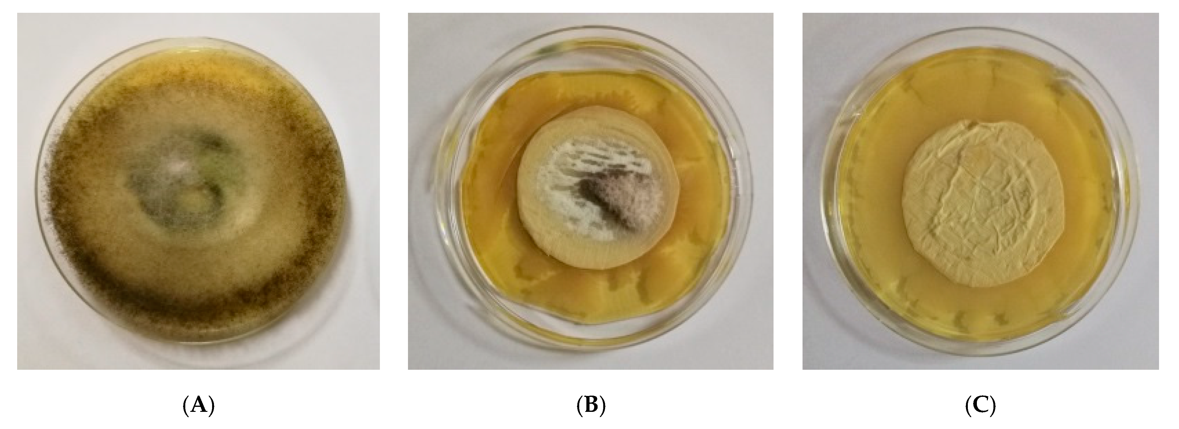Polymers 12 01384 g010