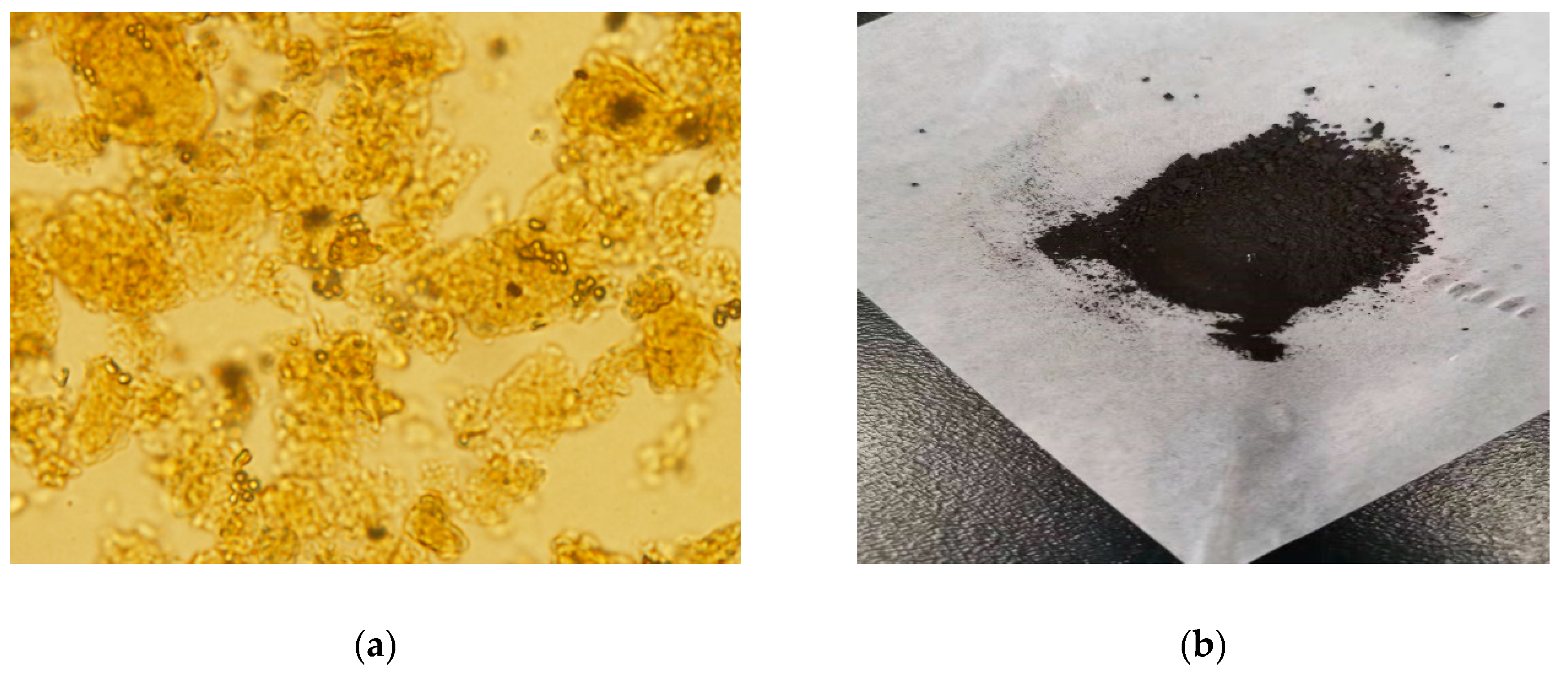 Polymers 12 01385 g001 Polymers 12 01385 g001