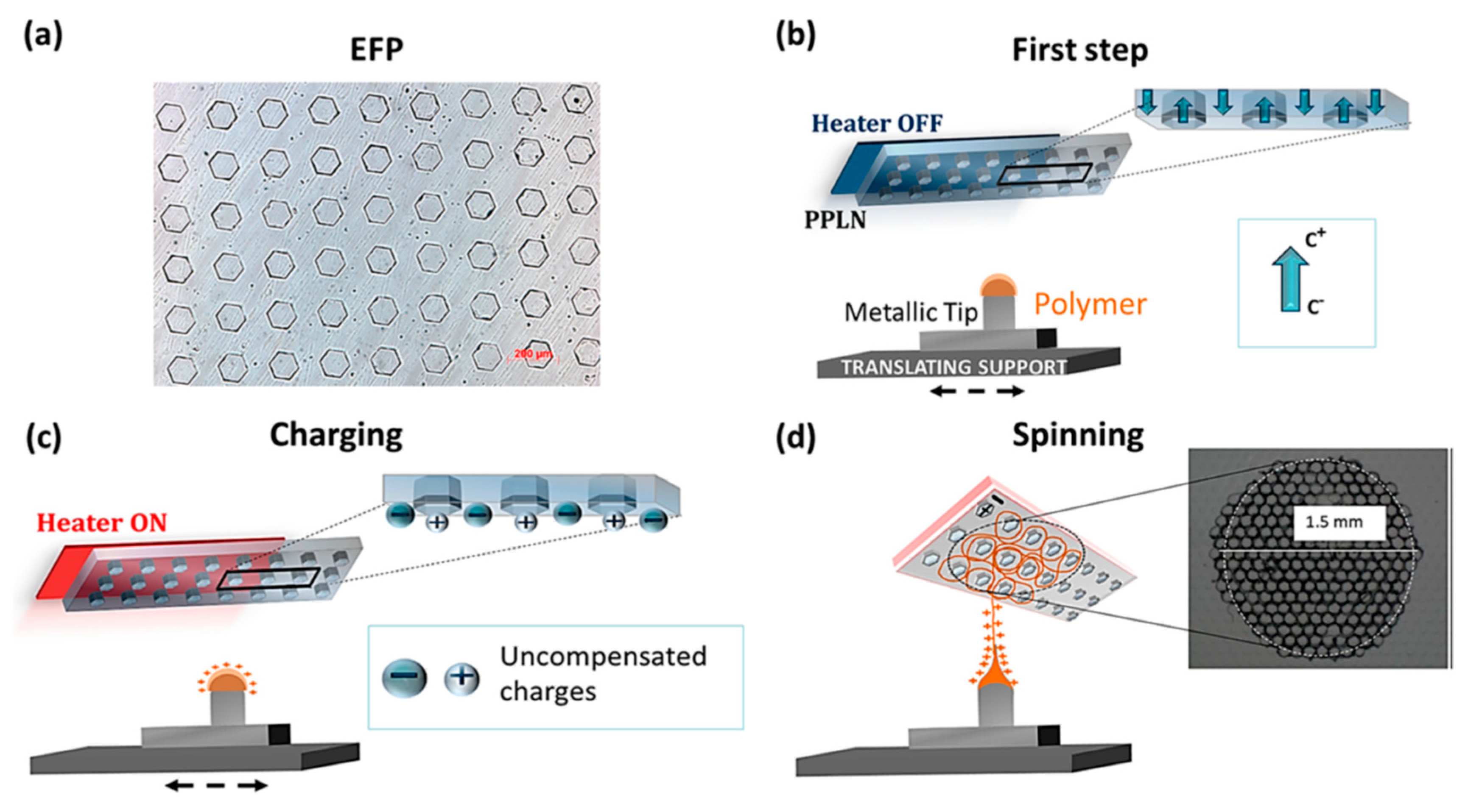 Polymers 12 01386 g008