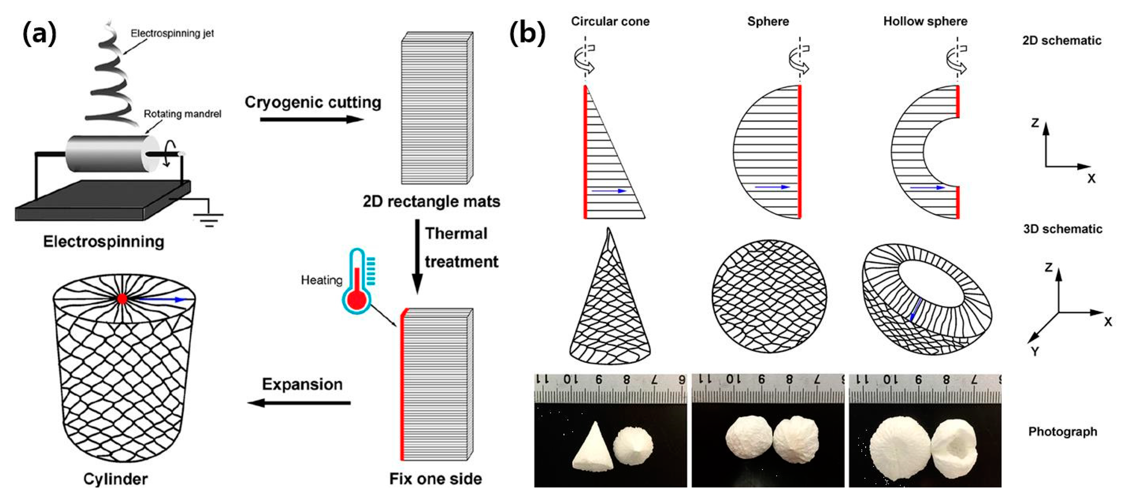 Polymers 12 01386 g011