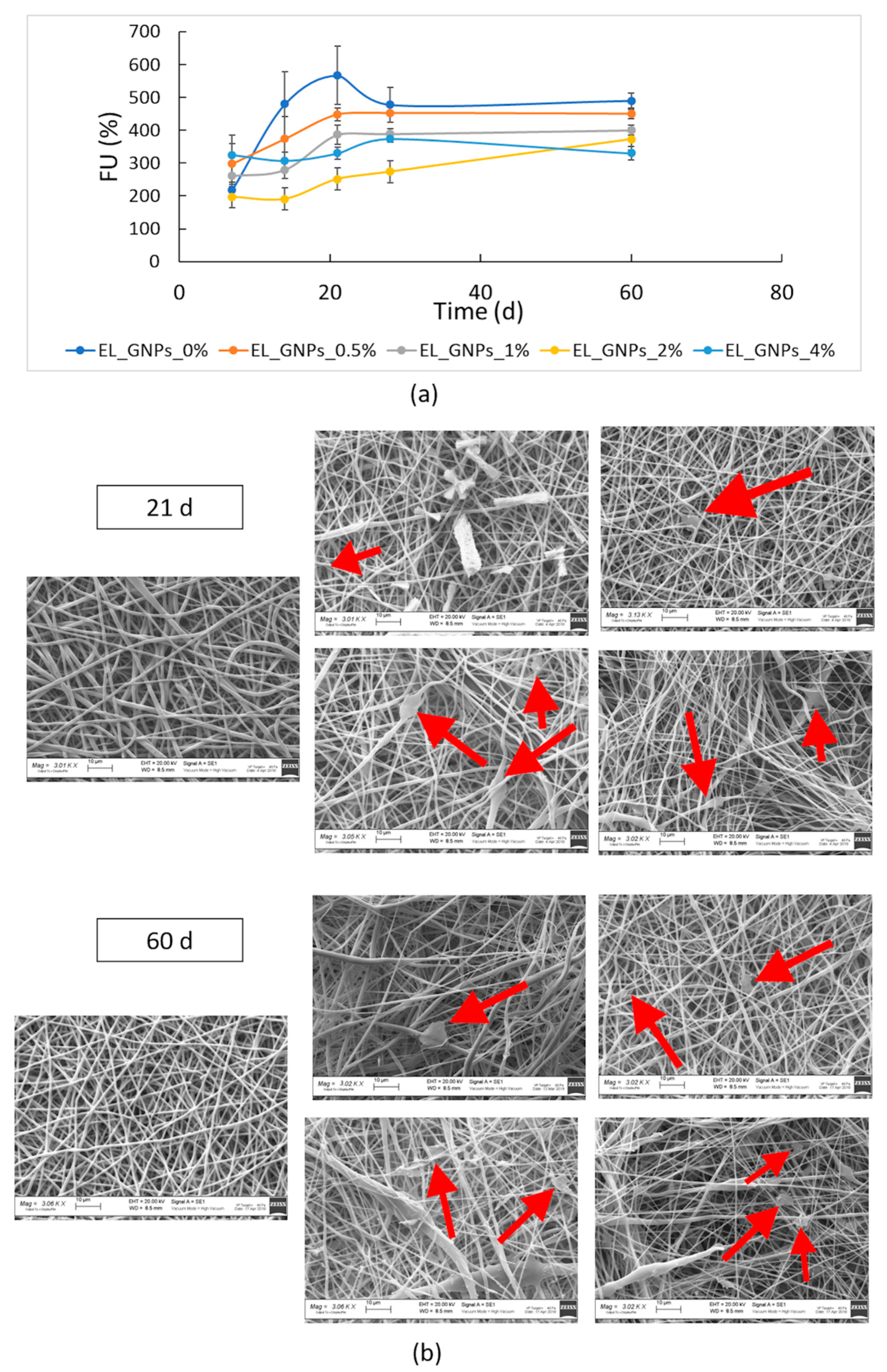 Polymers 12 01390 g005