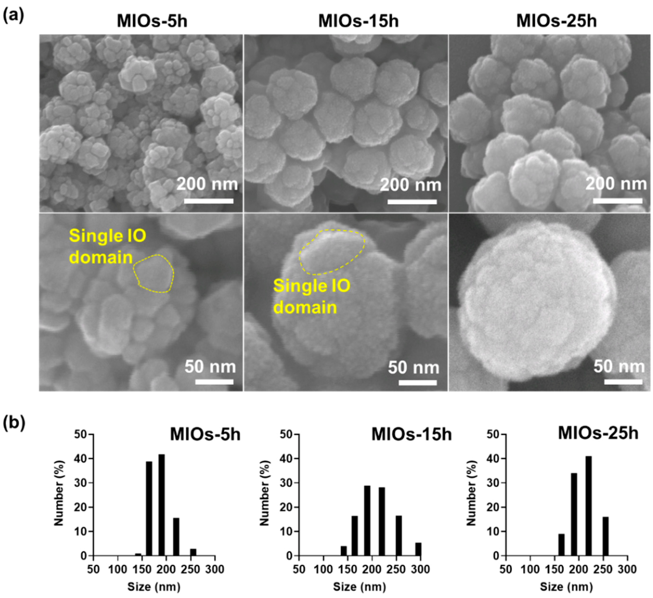 Polymers 12 01392 g002