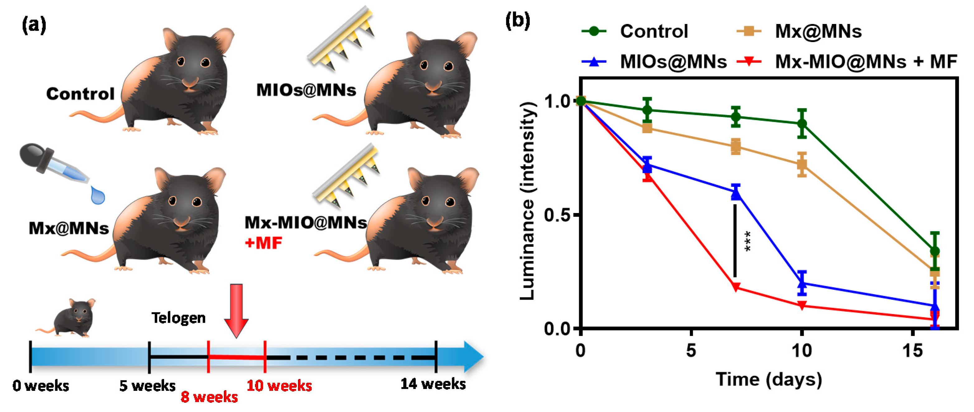 Polymers 12 01392 g008