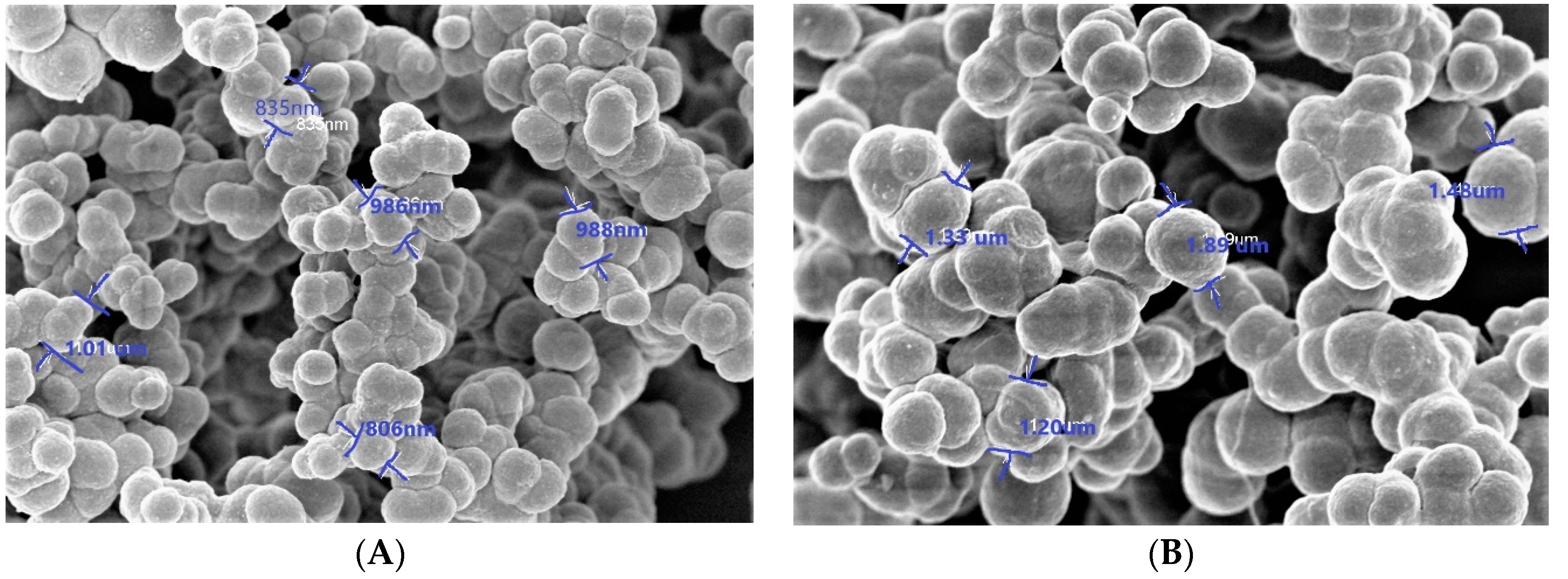 Polymers 12 01406 g001 Polymers 12 01406 g001