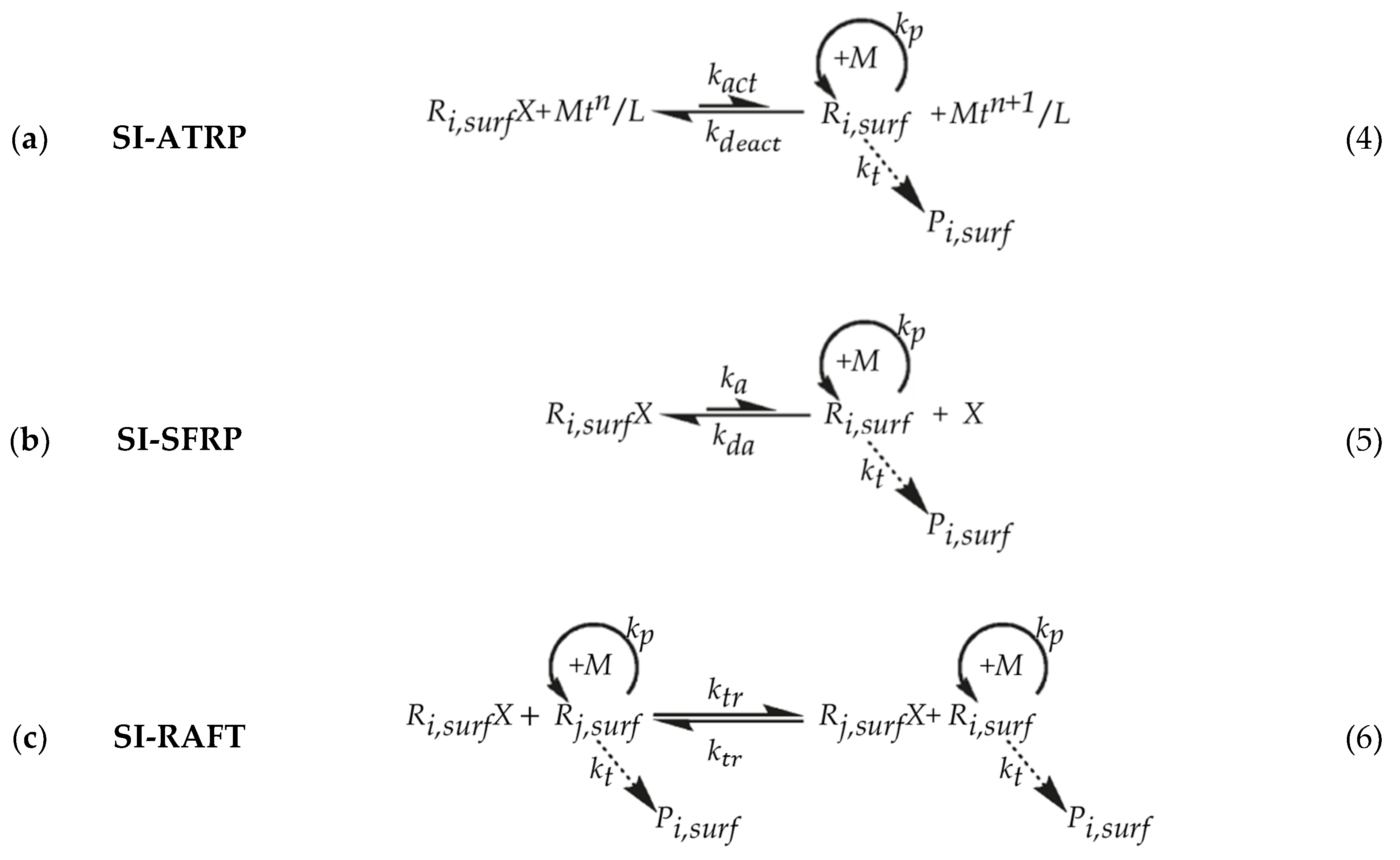 Polymers 12 01409 g001