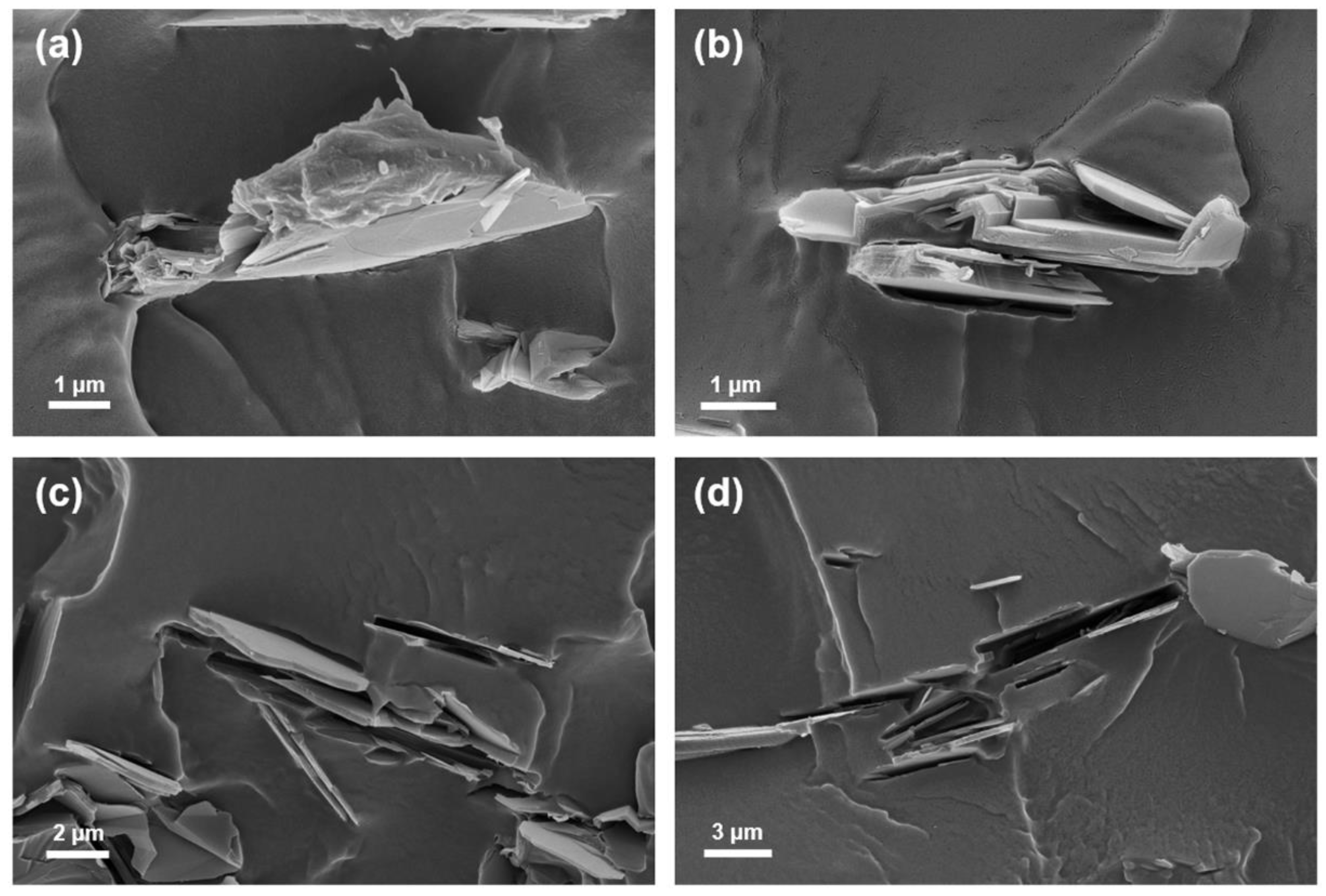 Polymers 12 01410 g006 Polymers 12 01410 g006