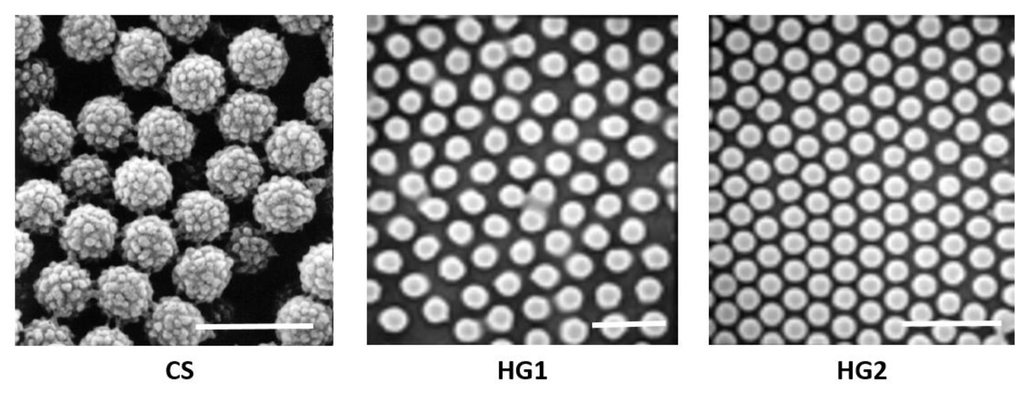 Polymers 12 01413 g001 Polymers 12 01413 g001