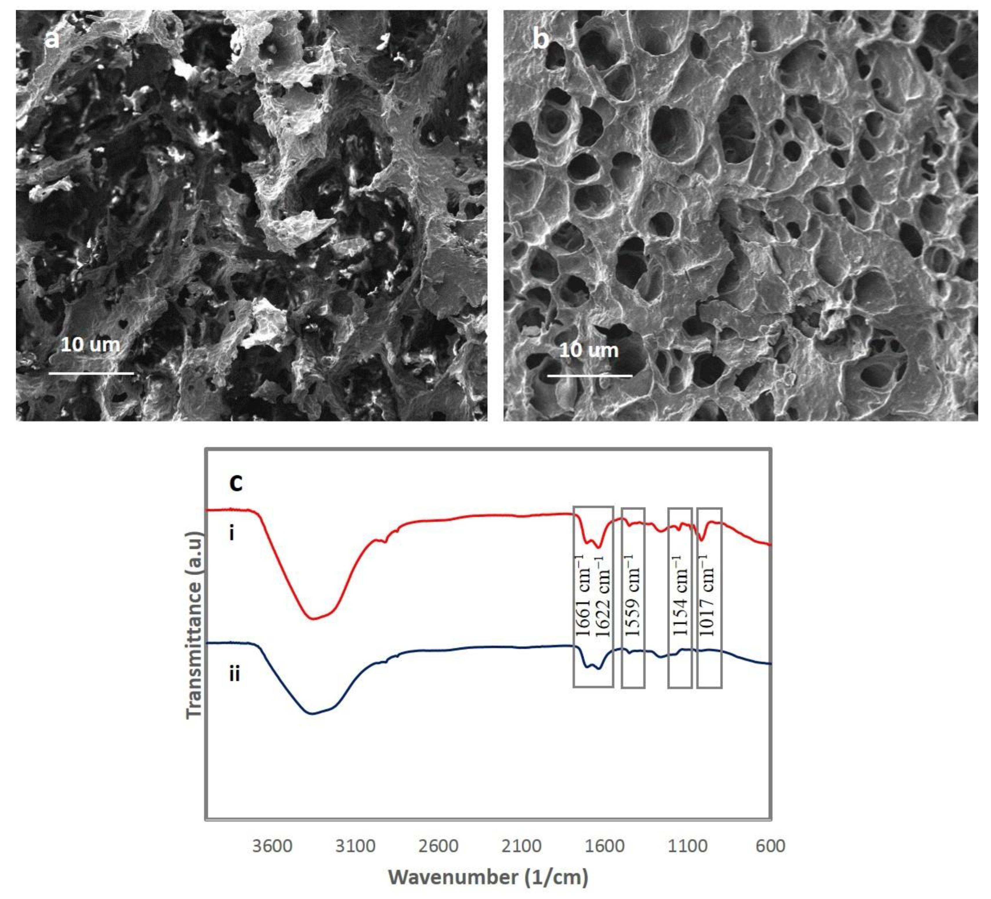 Polymers 12 01416 g003