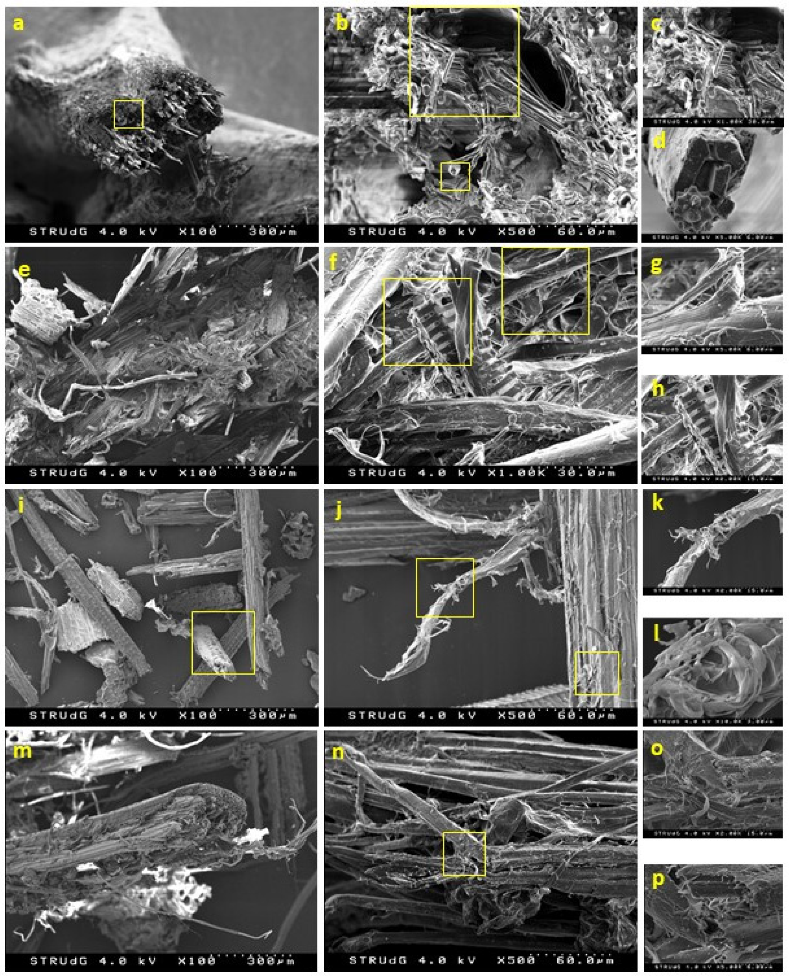 Polymers 12 01423 g006 Polymers 12 01423 g006