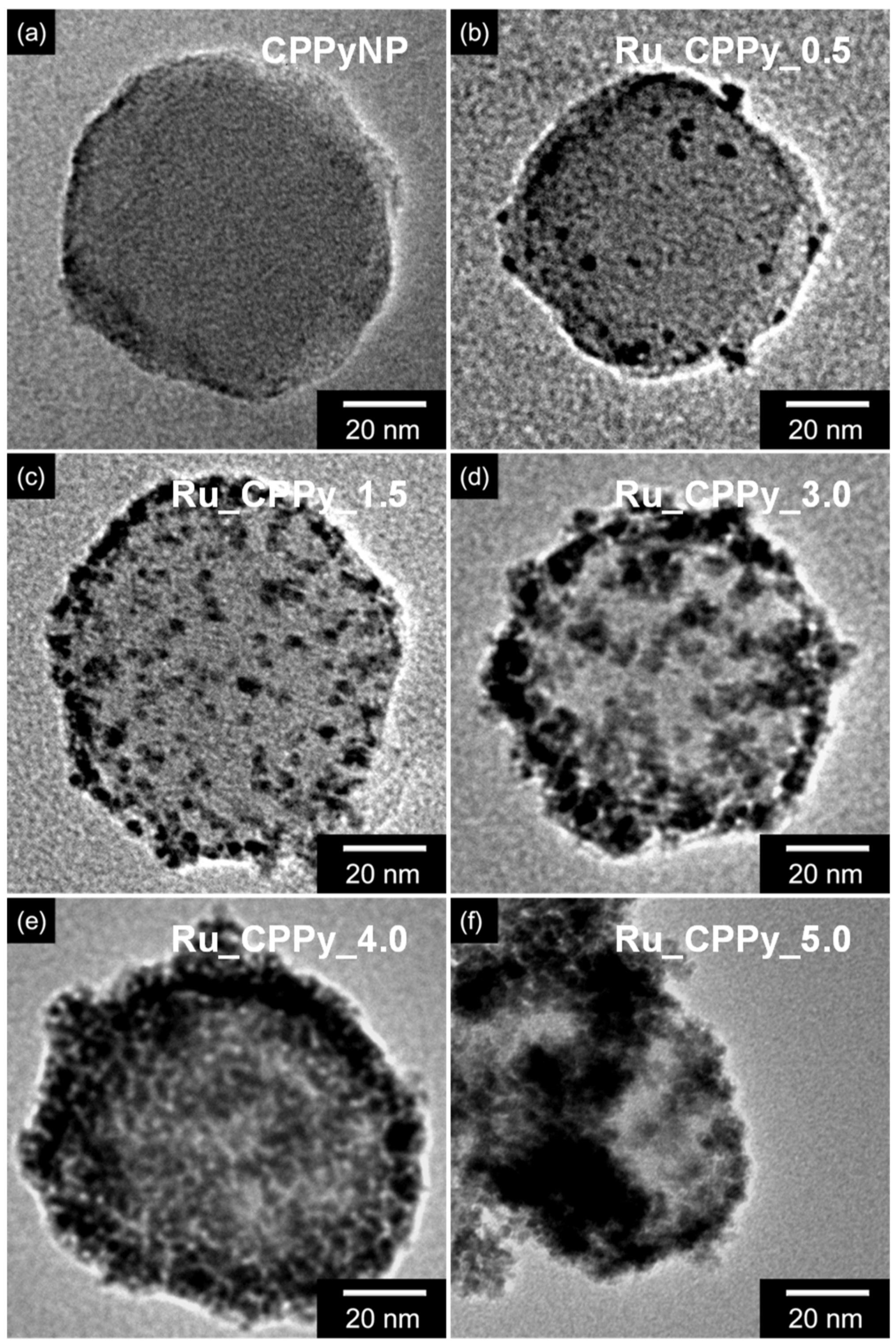 Polymers 12 01427 g001 Polymers 12 01427 g001
