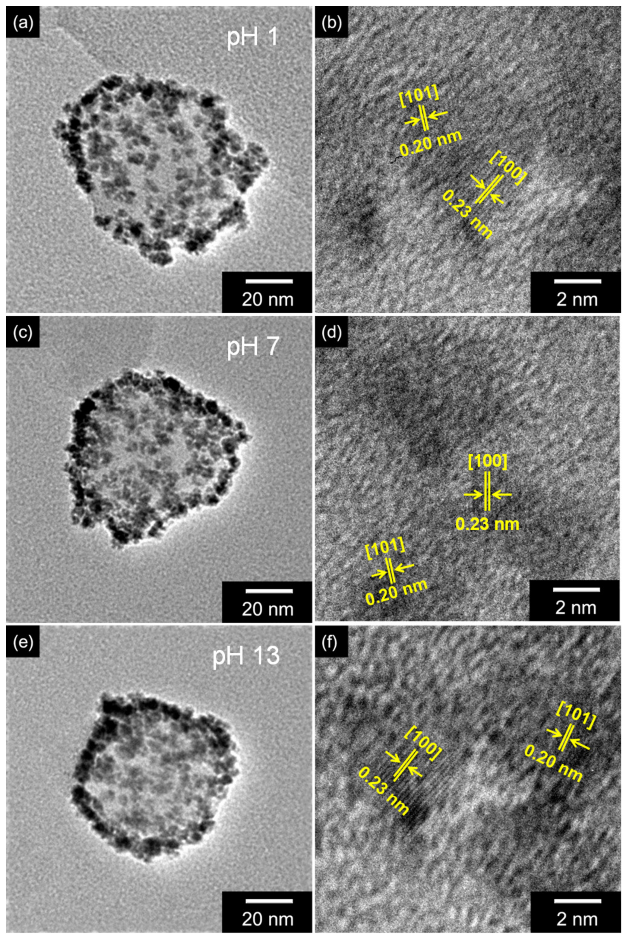 Polymers 12 01427 g003 Polymers 12 01427 g003