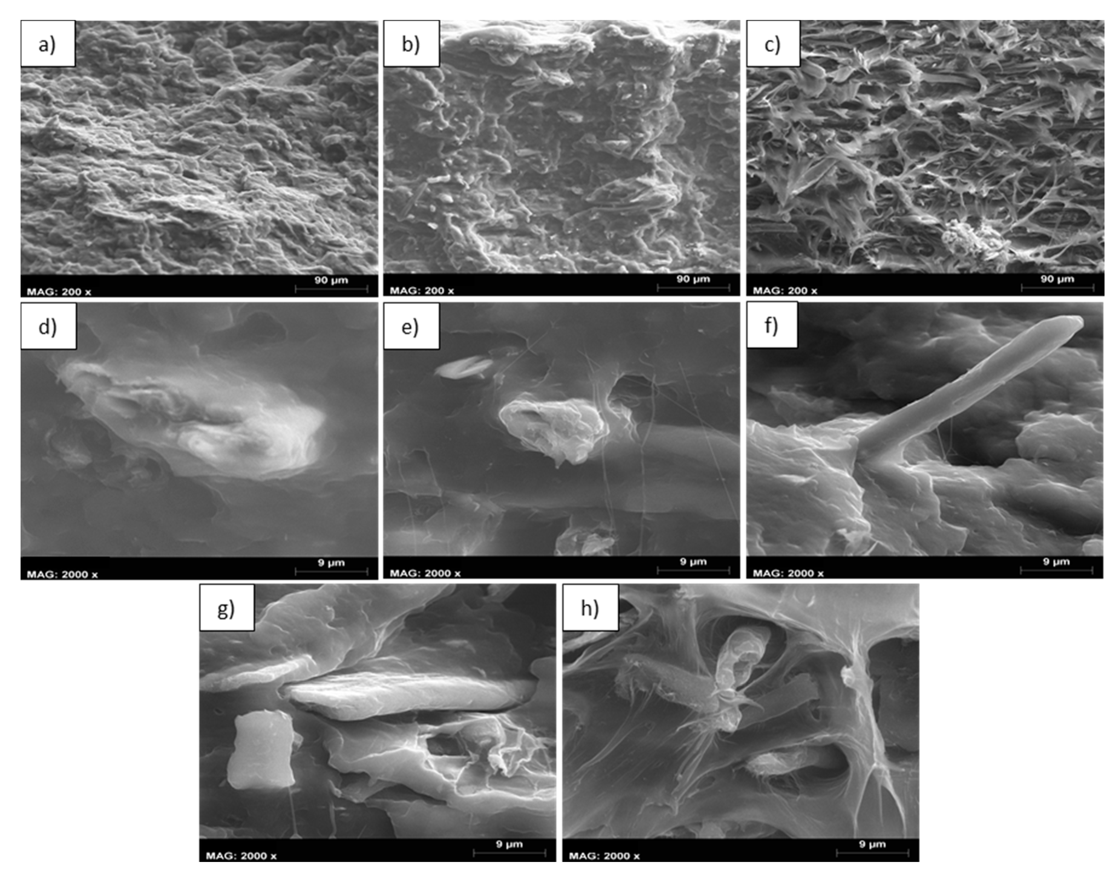 Polymers 12 01428 g006 Polymers 12 01428 g006