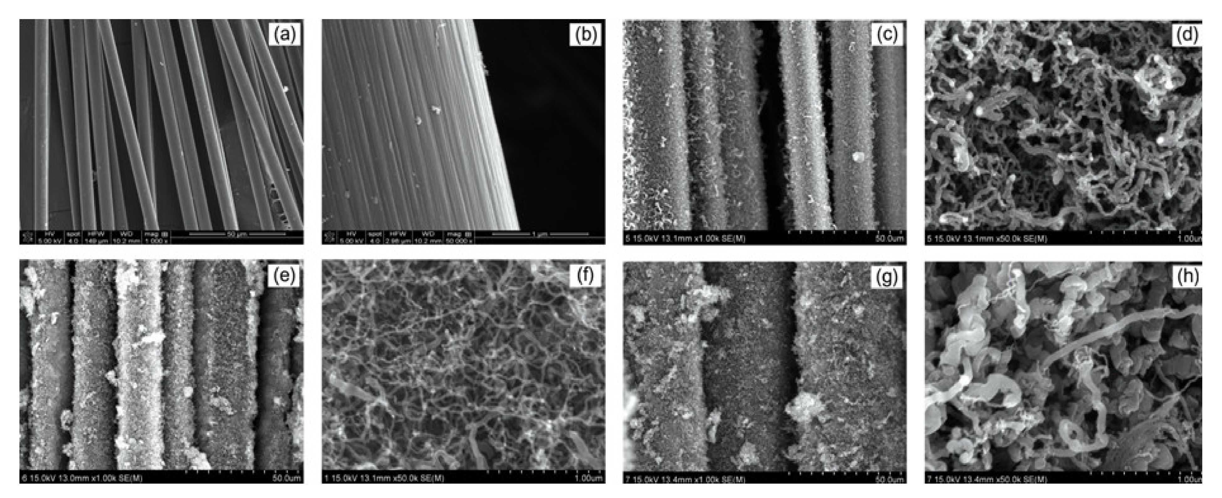 Polymers 12 01432 g002 Polymers 12 01432 g002