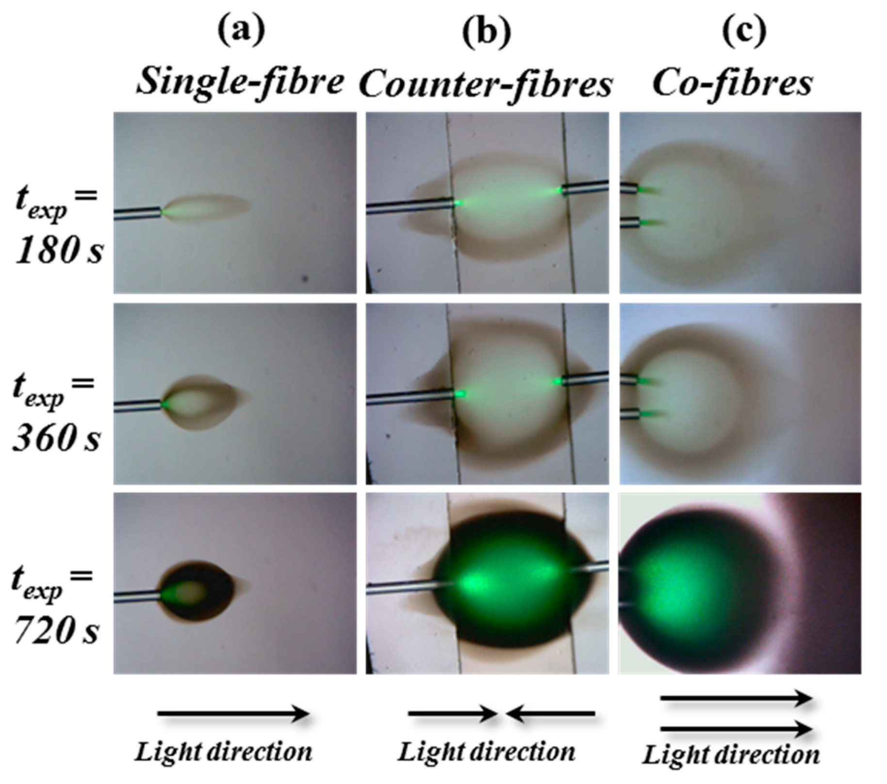 Polymers 12 01438 g003 Polymers 12 01438 g003
