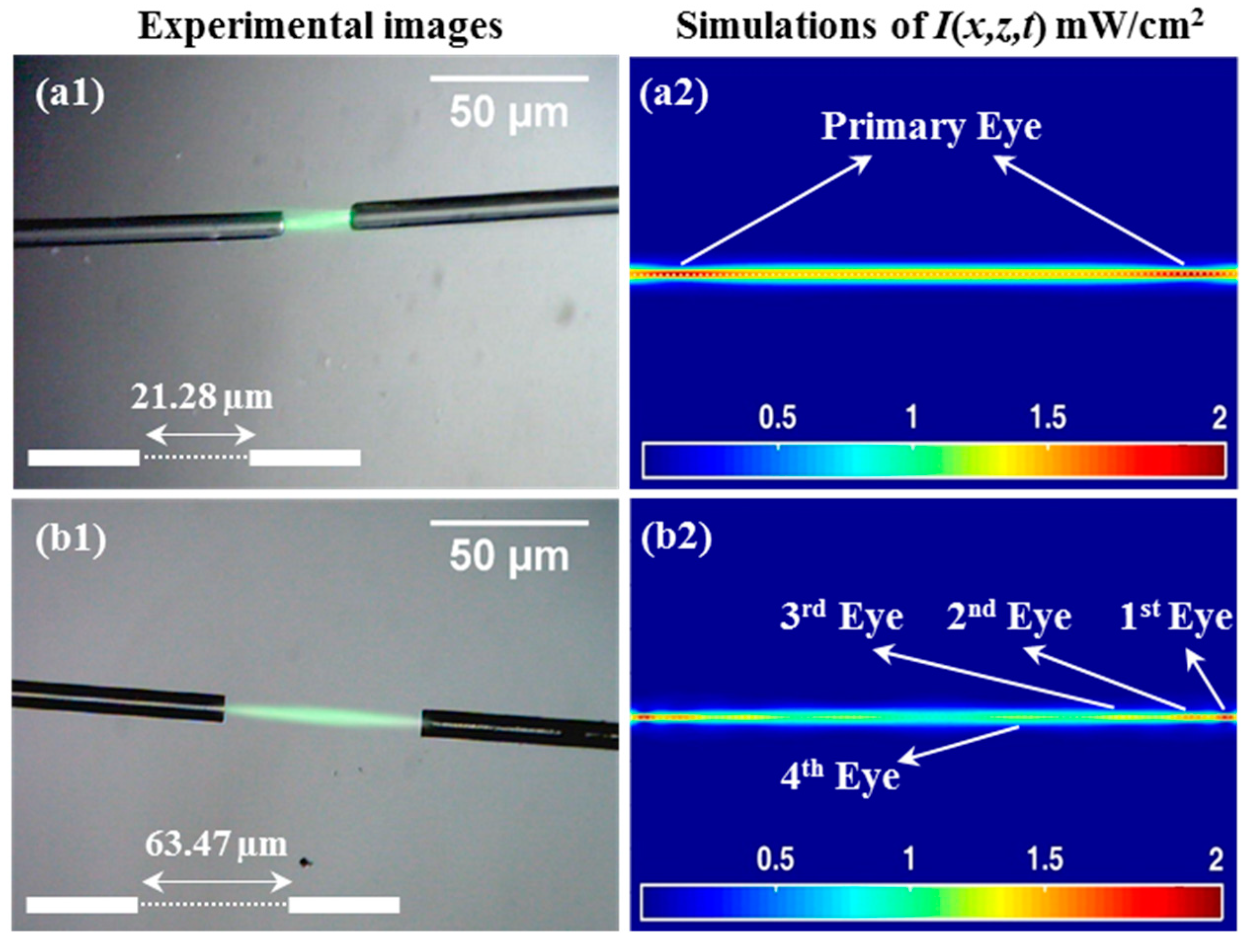Polymers 12 01438 g006 Polymers 12 01438 g006