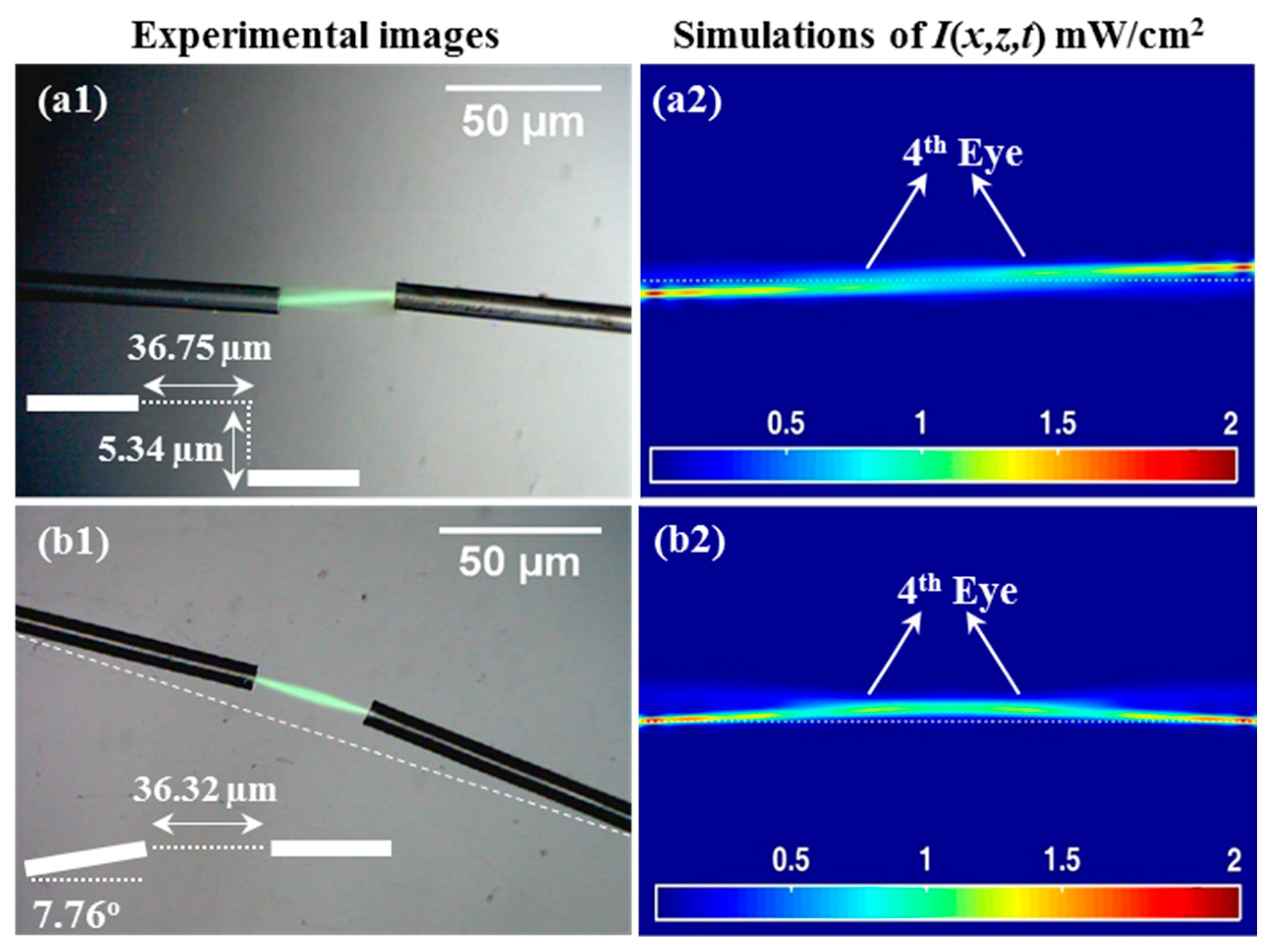 Polymers 12 01438 g007 Polymers 12 01438 g007
