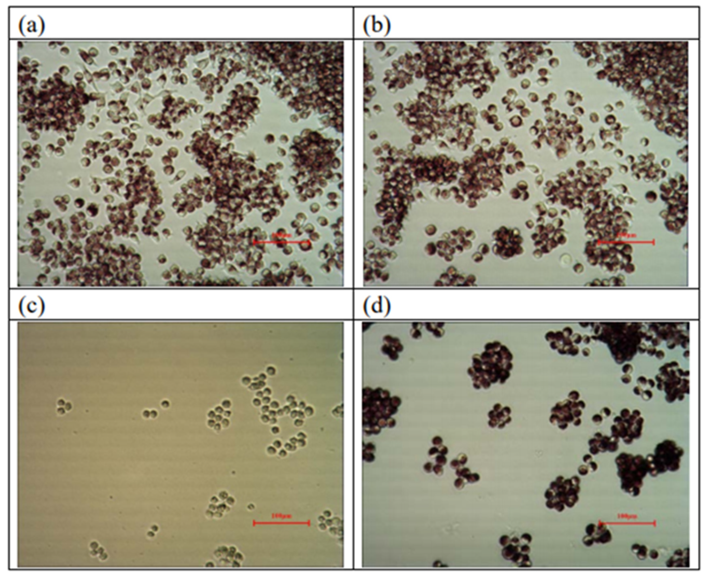 Polymers 12 01439 g003 Polymers 12 01439 g003