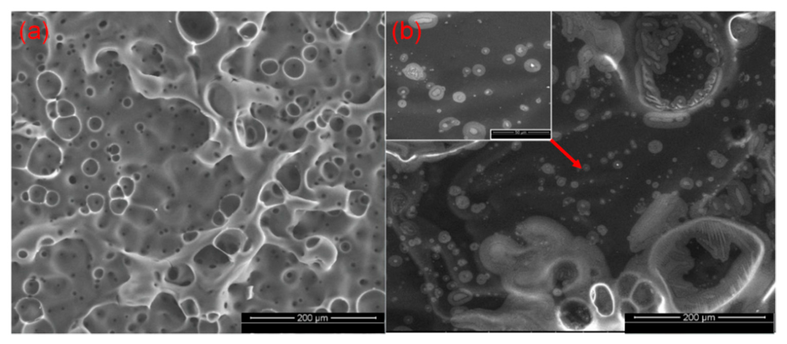 Polymers 12 01441 g009 Polymers 12 01441 g009