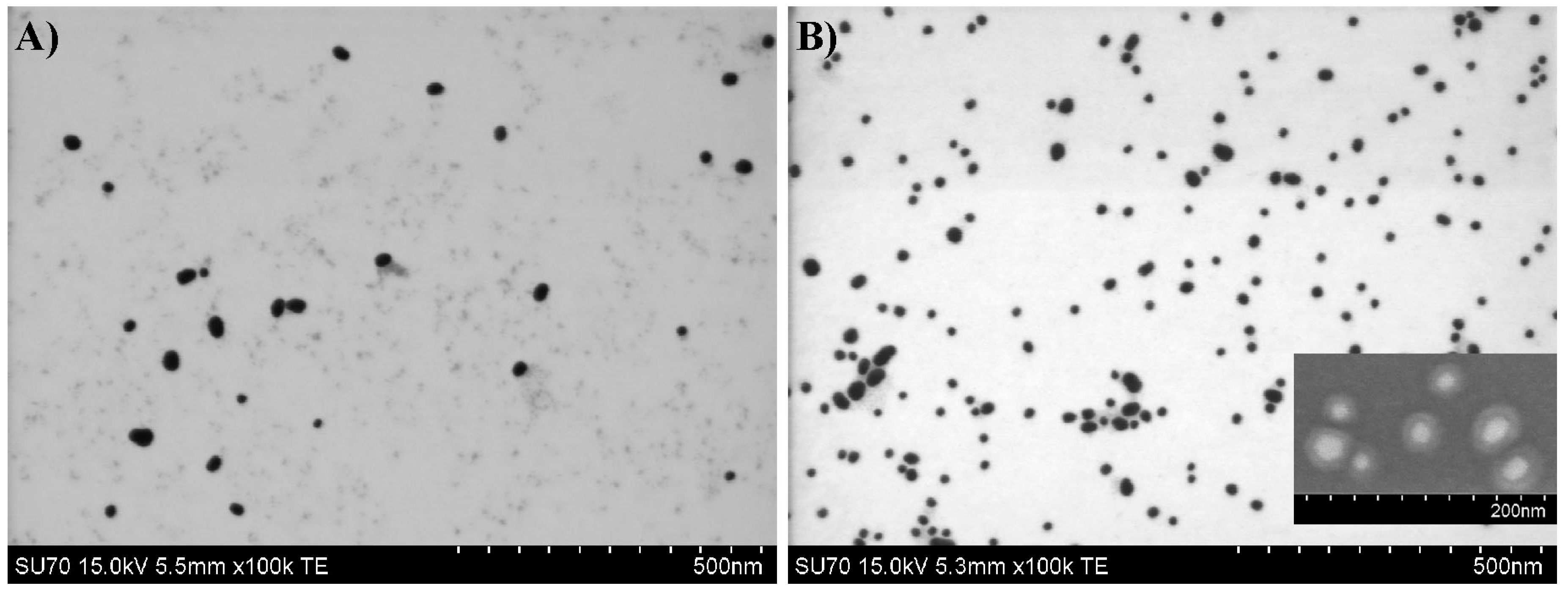 Polymers 12 01442 g004 Polymers 12 01442 g004