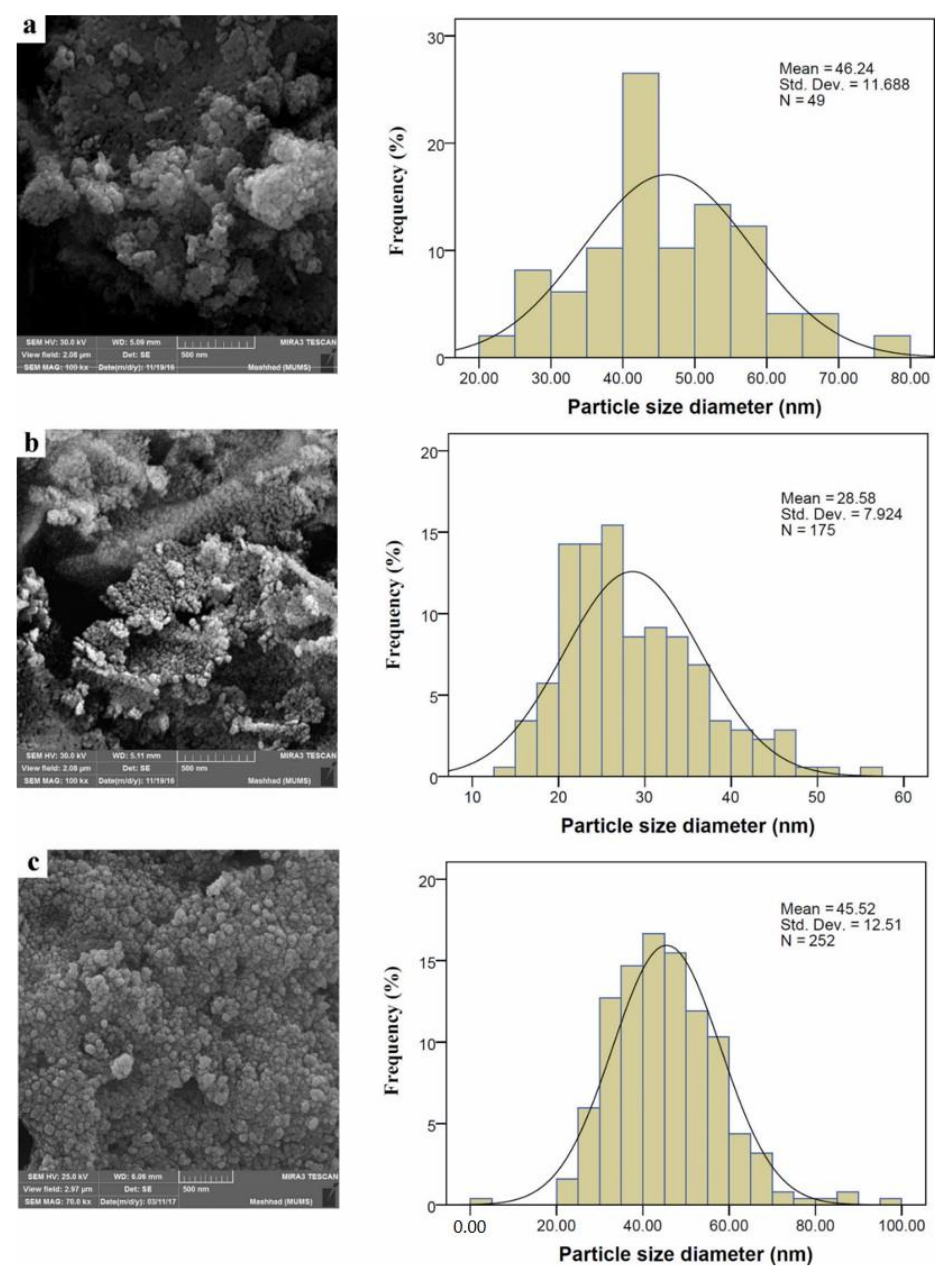 Polymers 12 01444 g004 Polymers 12 01444 g004