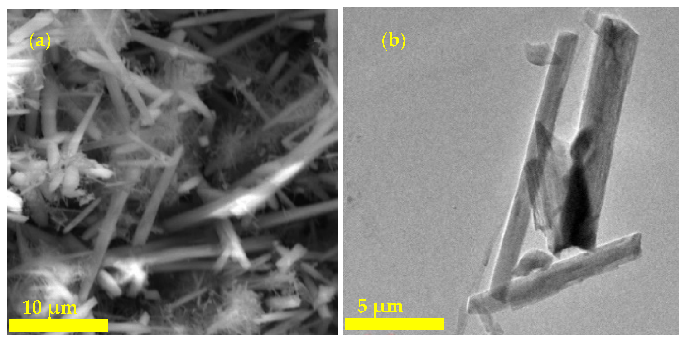 Polymers 12 01446 g004