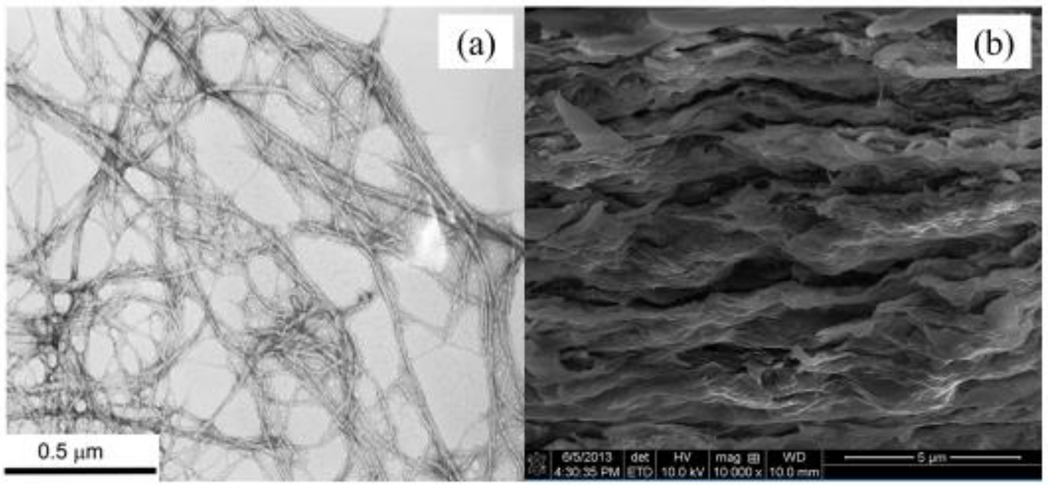 Polymers 12 01448 g002 Polymers 12 01448 g002