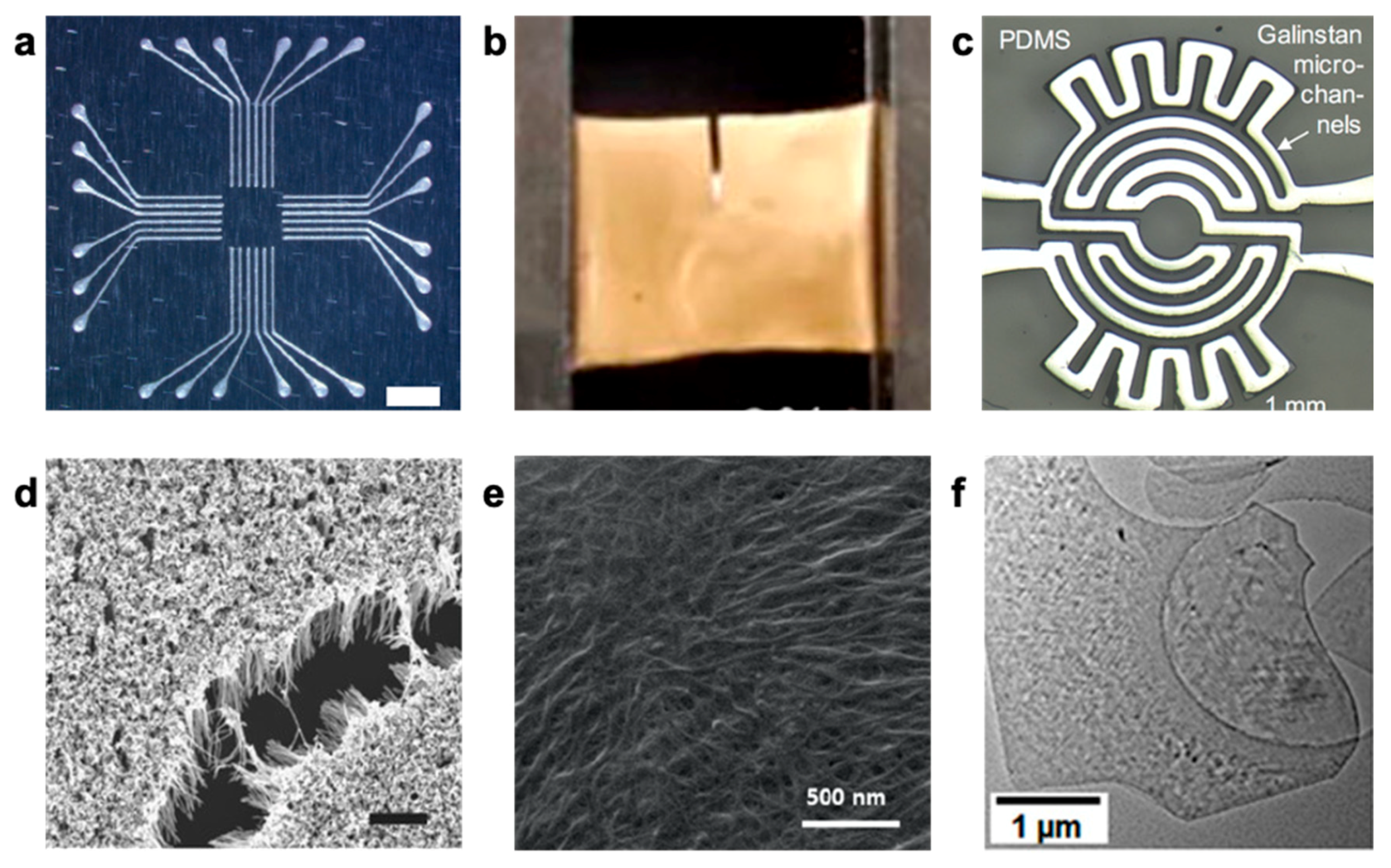 Polymers 12 01454 g003 Polymers 12 01454 g003
