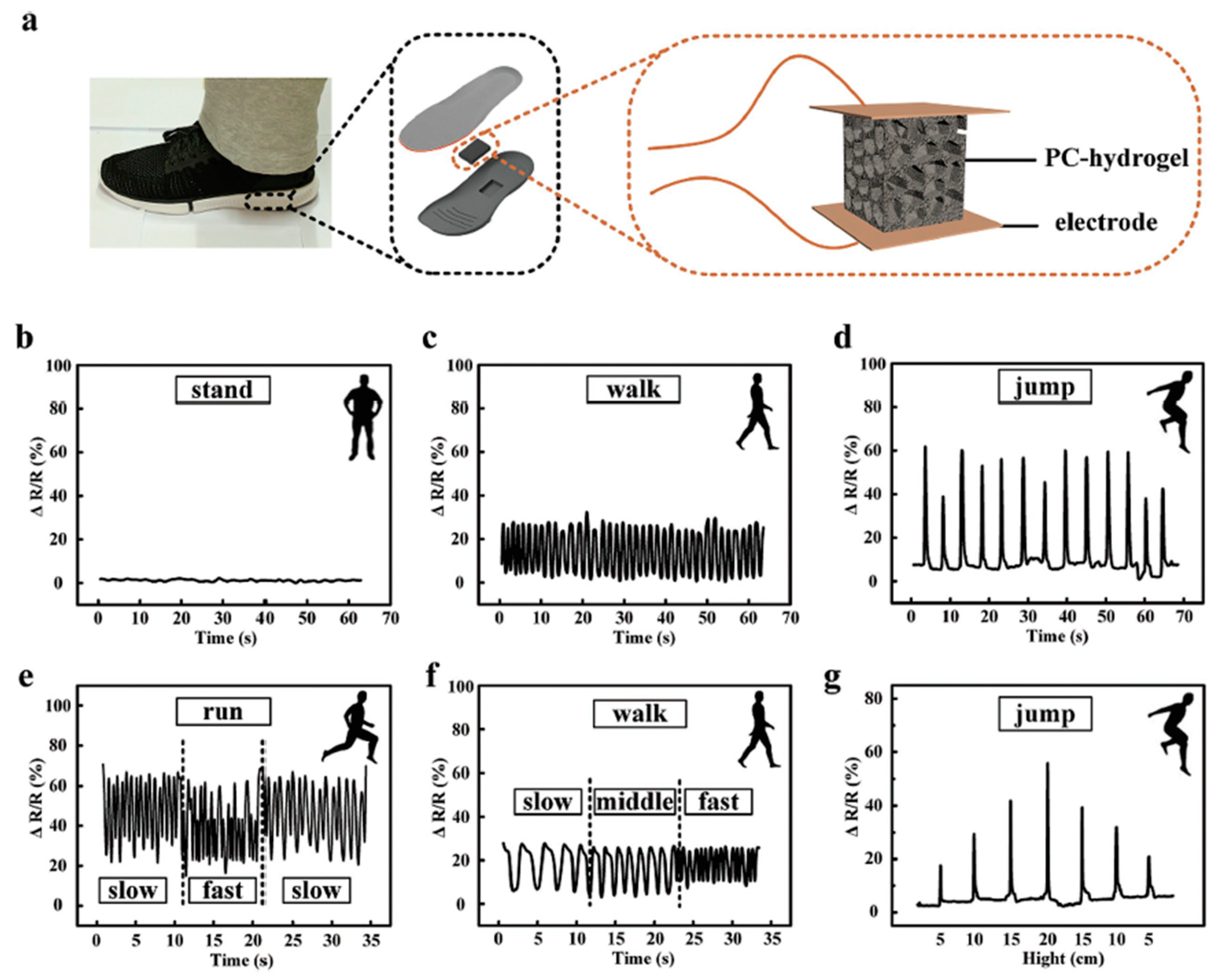 Polymers 12 01454 g012 Polymers 12 01454 g012