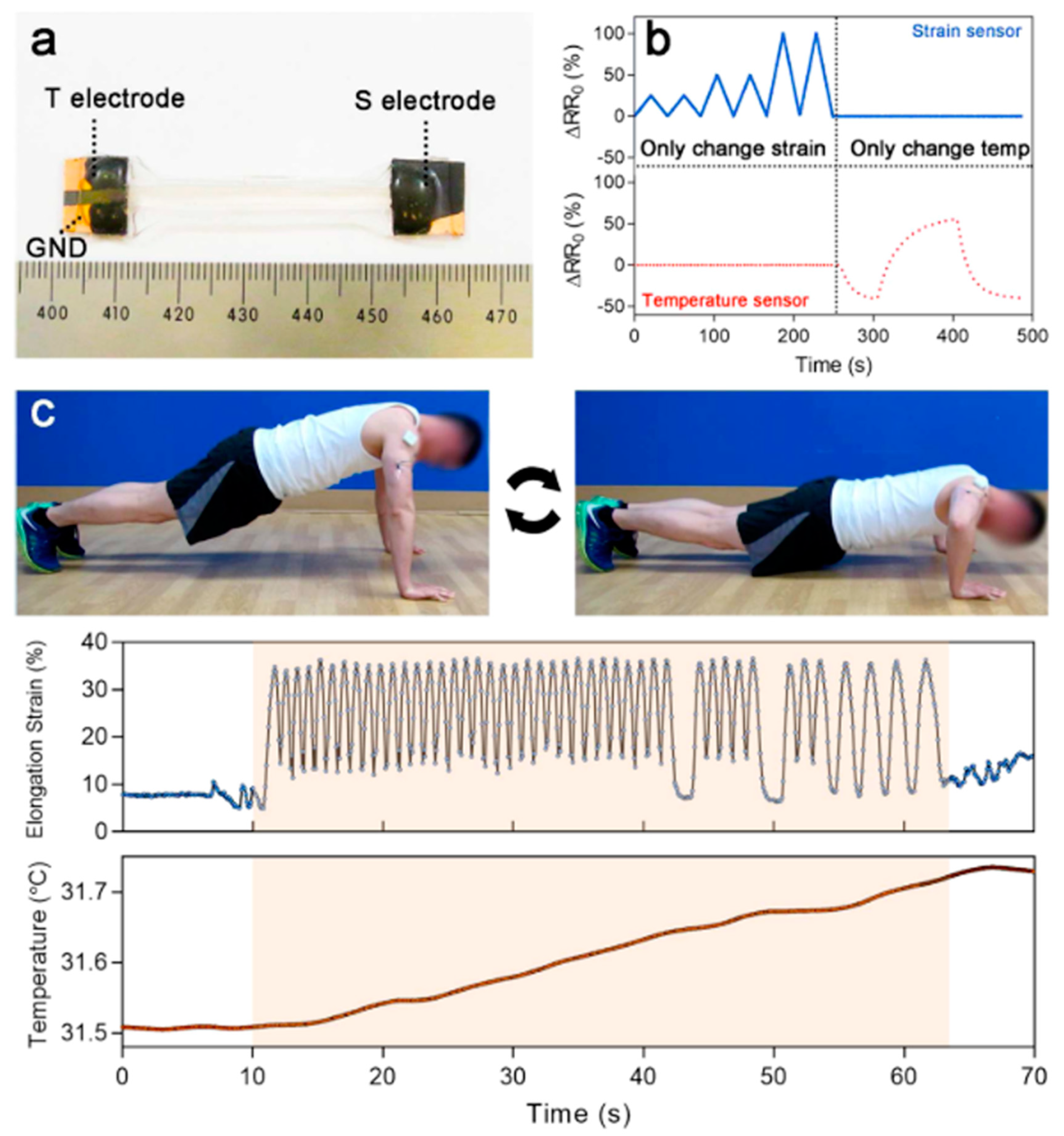 Polymers 12 01454 g015 Polymers 12 01454 g015
