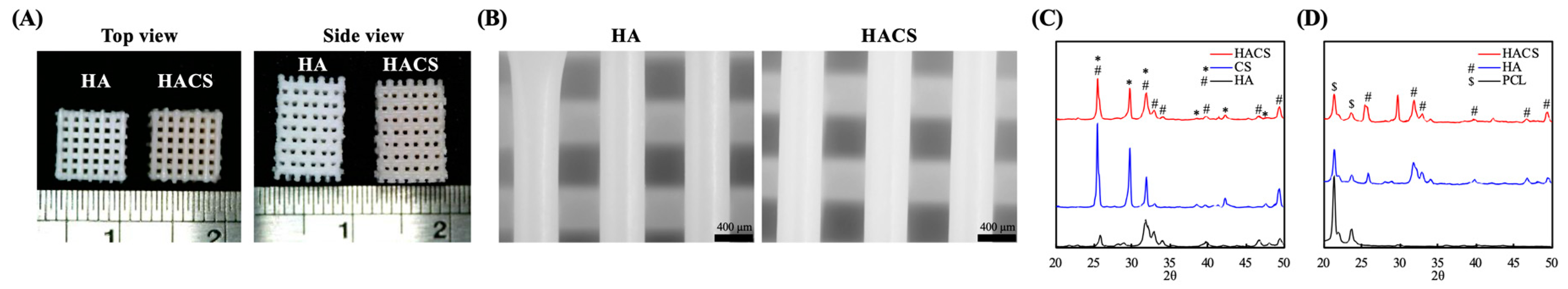 Polymers 12 01455 g001 Polymers 12 01455 g001
