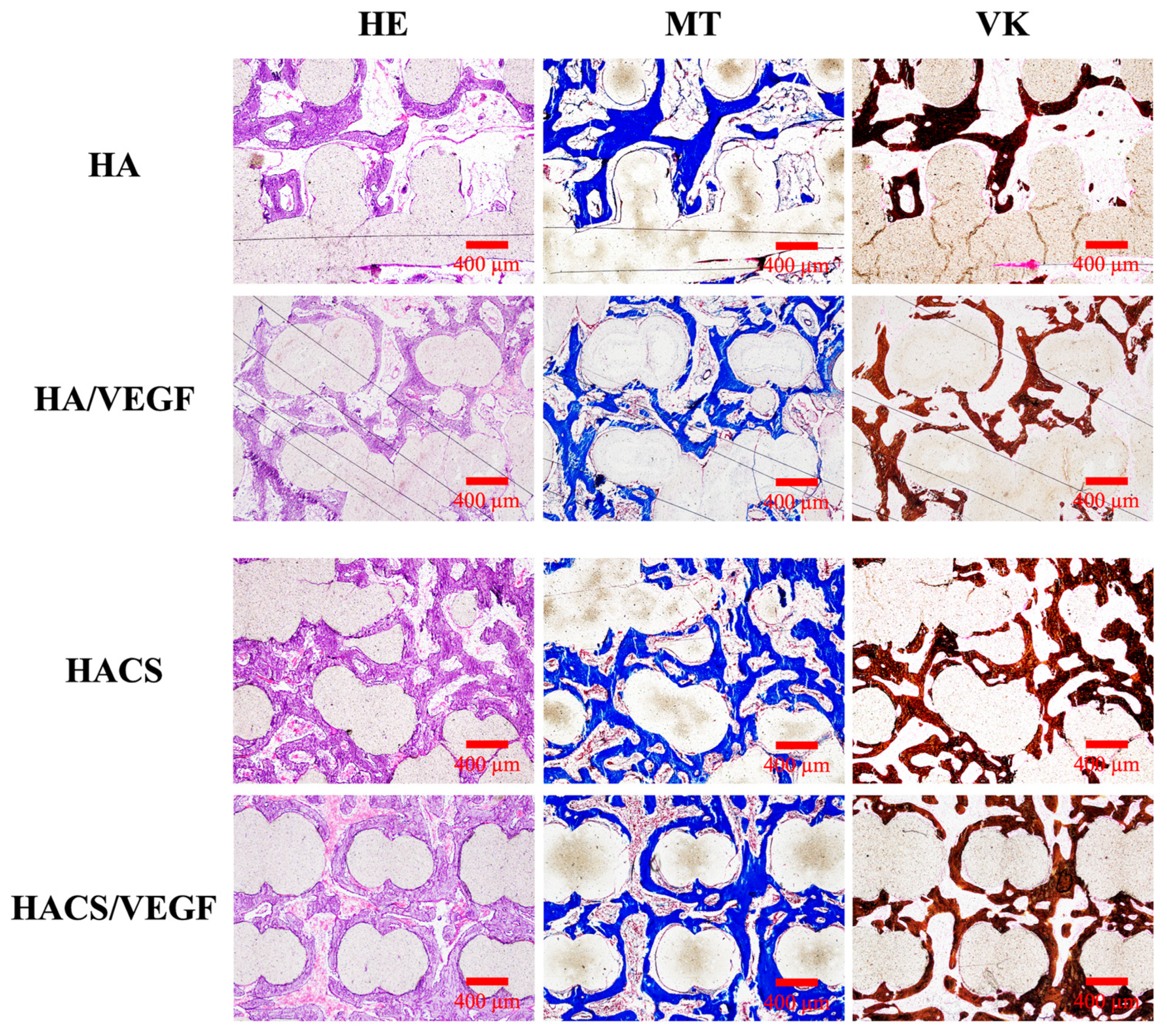 Polymers 12 01455 g010 Polymers 12 01455 g010