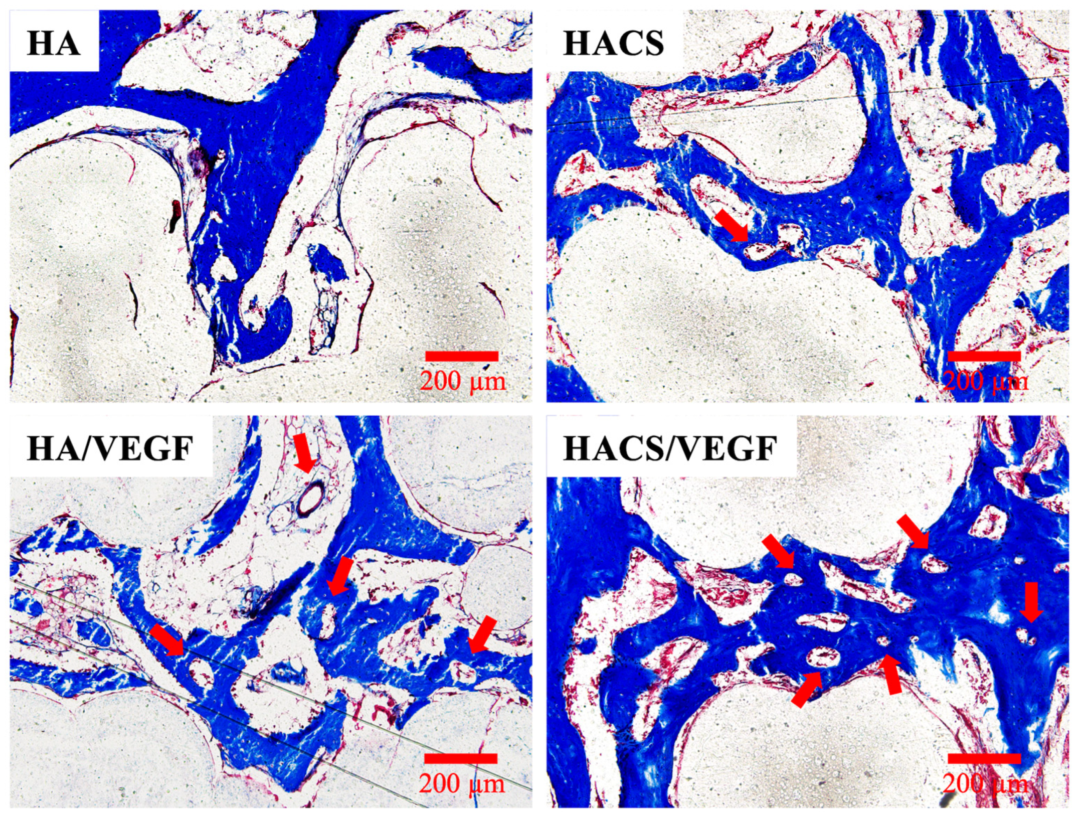 Polymers 12 01455 g011 Polymers 12 01455 g011