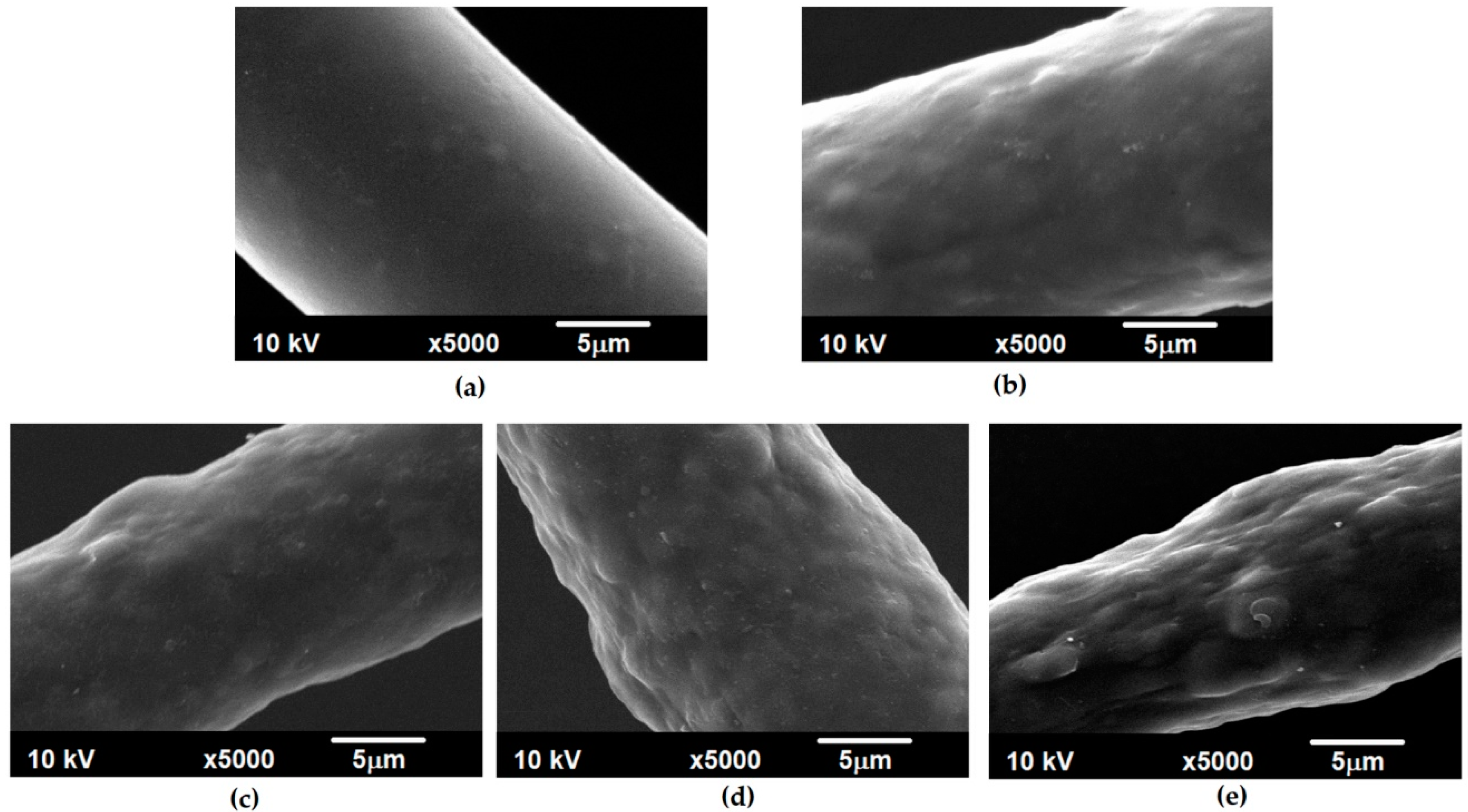 Polymers 12 01456 g001