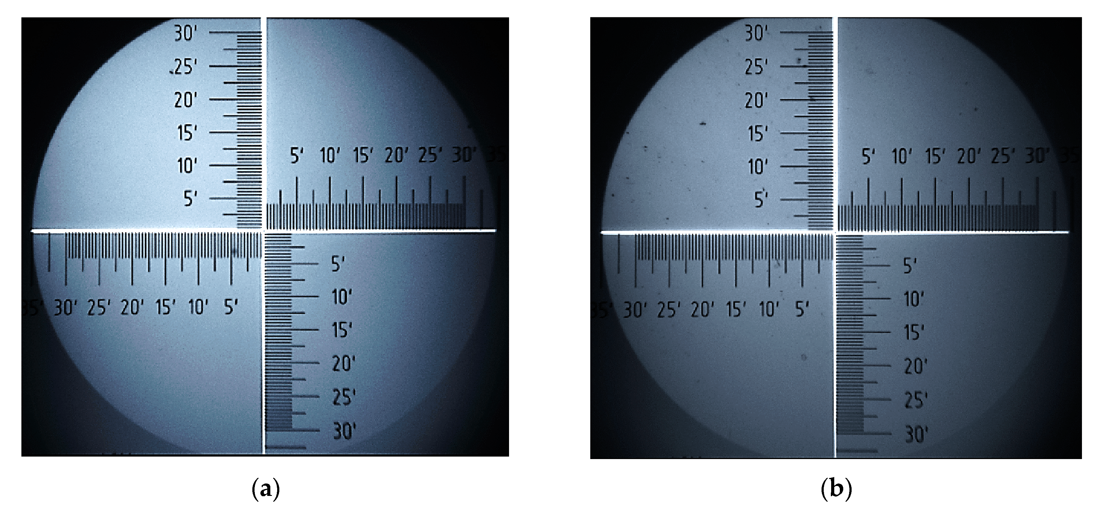 Polymers 12 01458 g008