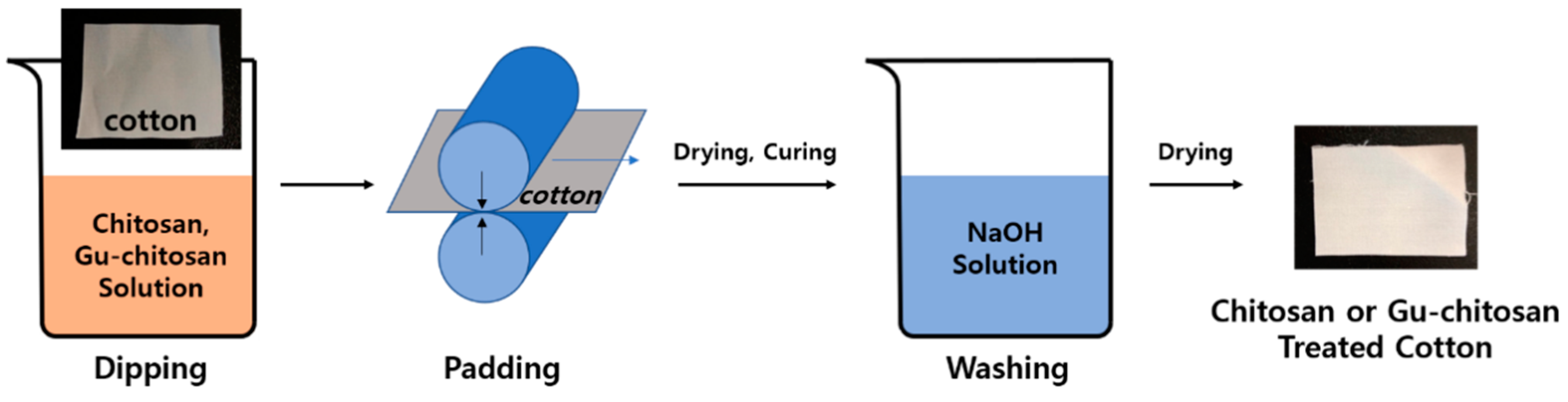 Polymers 12 01461 g003