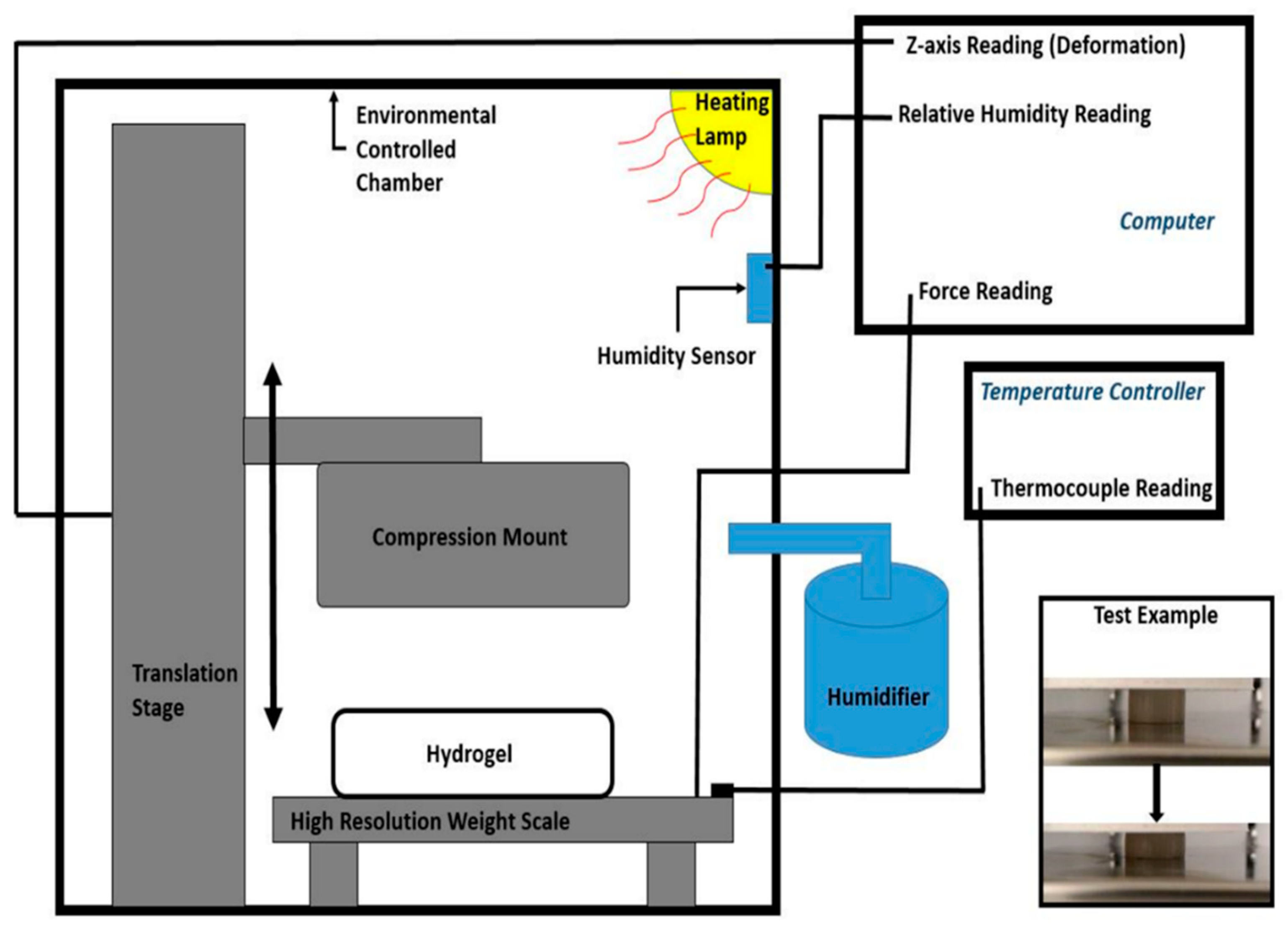 Polymers 12 01462 g001