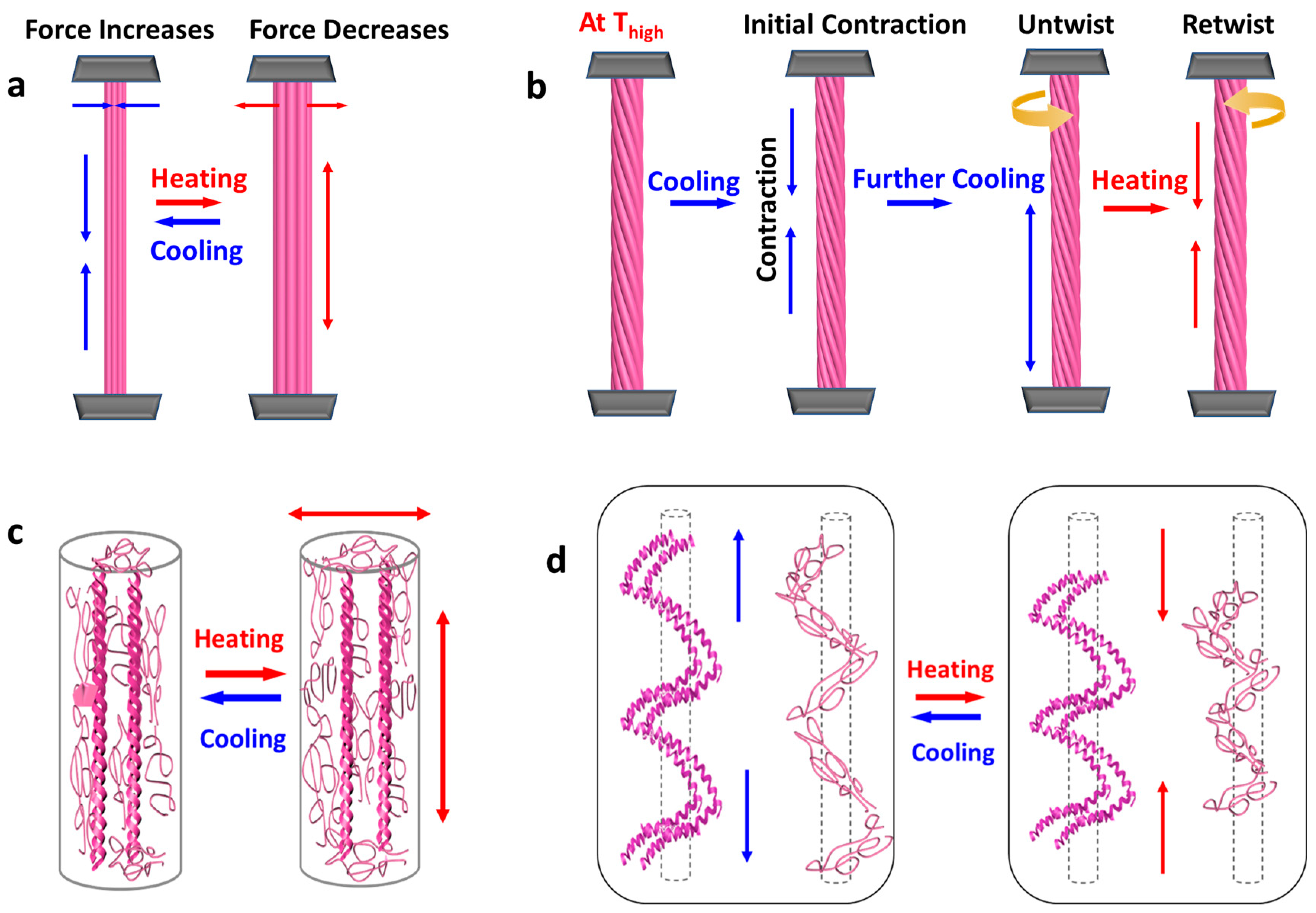 Polymers 12 01464 g002