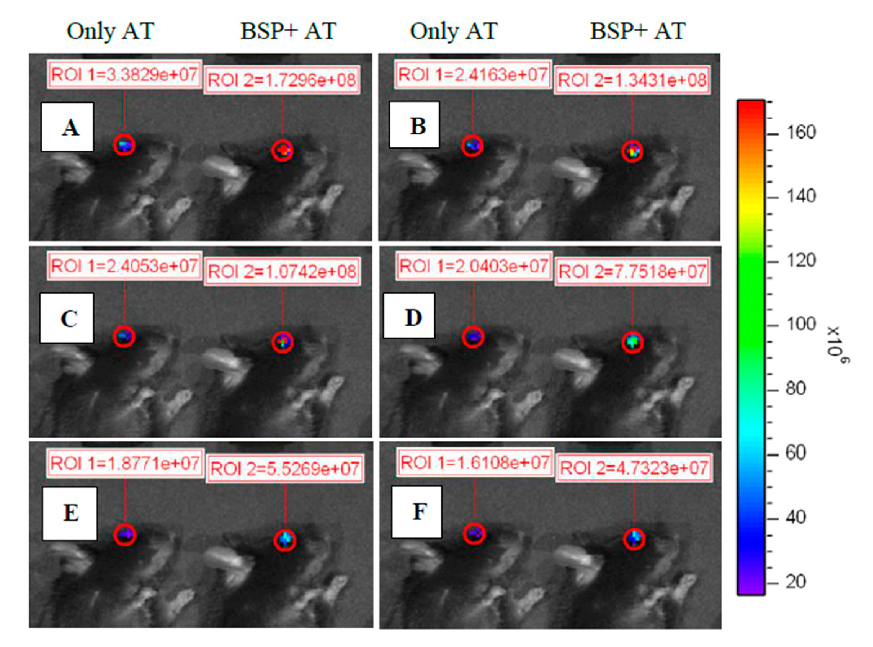 Polymers 12 01465 g007 Polymers 12 01465 g007