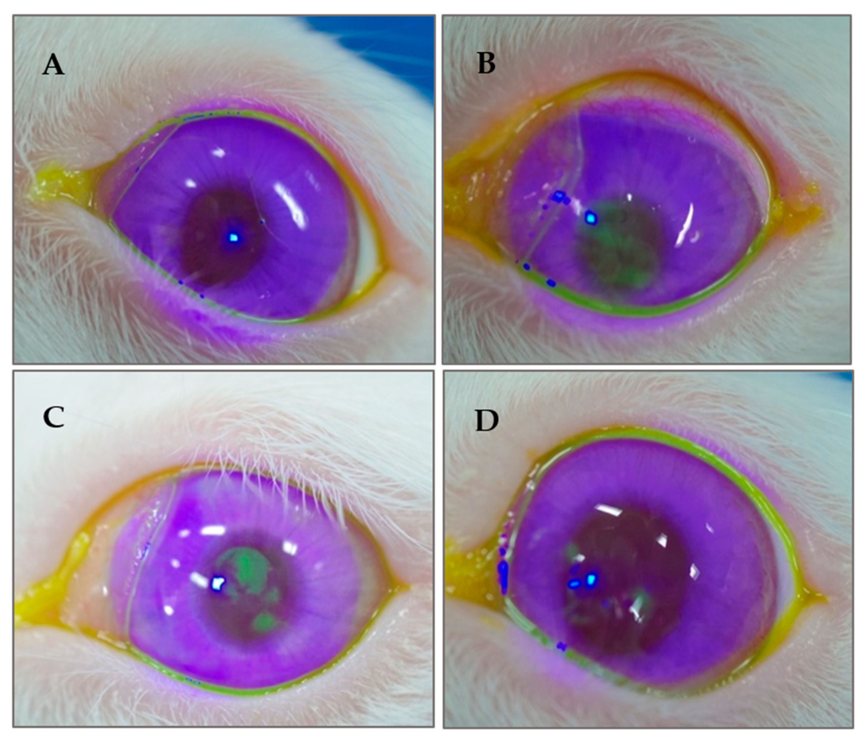 Polymers 12 01465 g008 Polymers 12 01465 g008