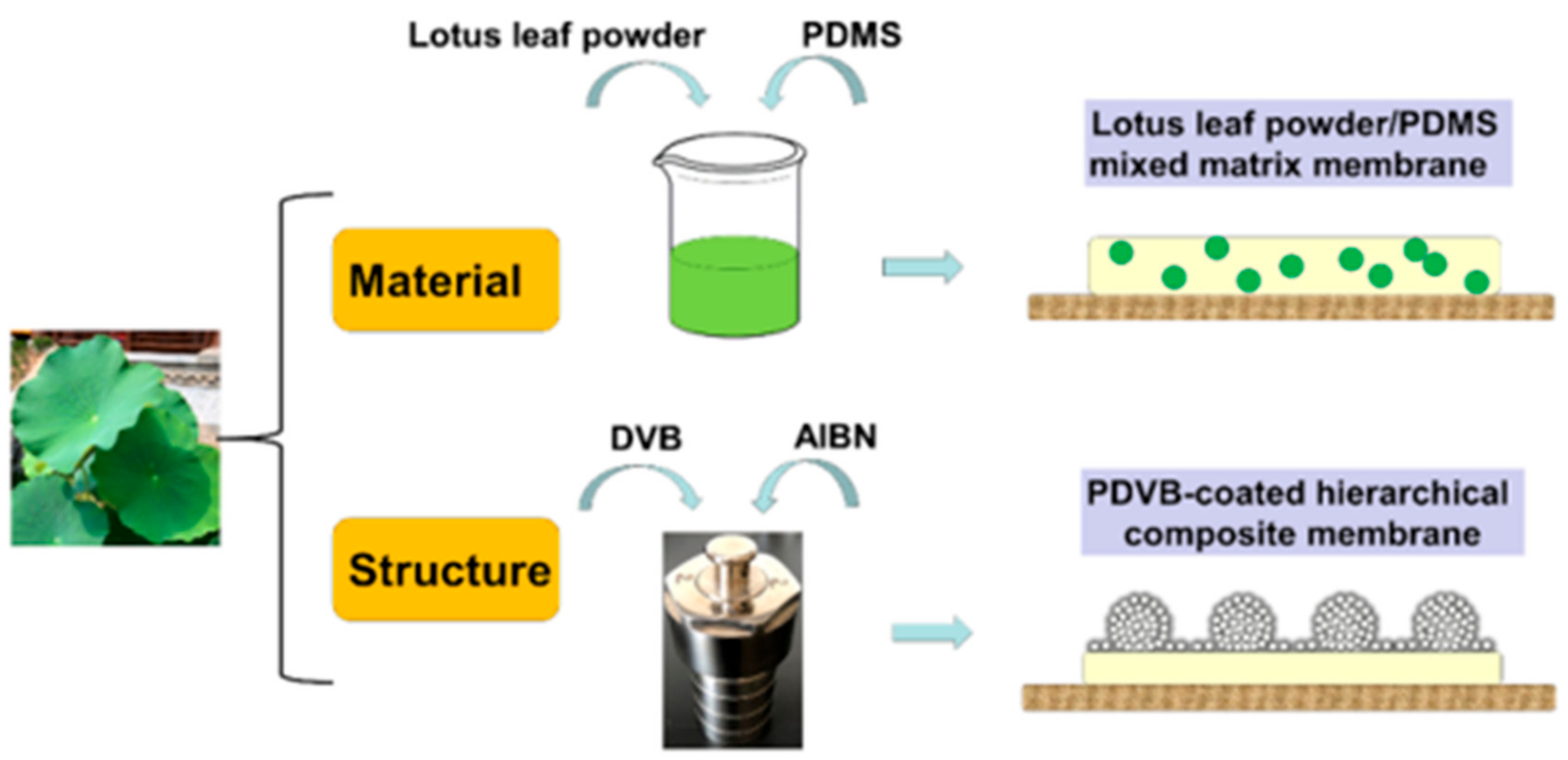 Polymers 12 01466 g001