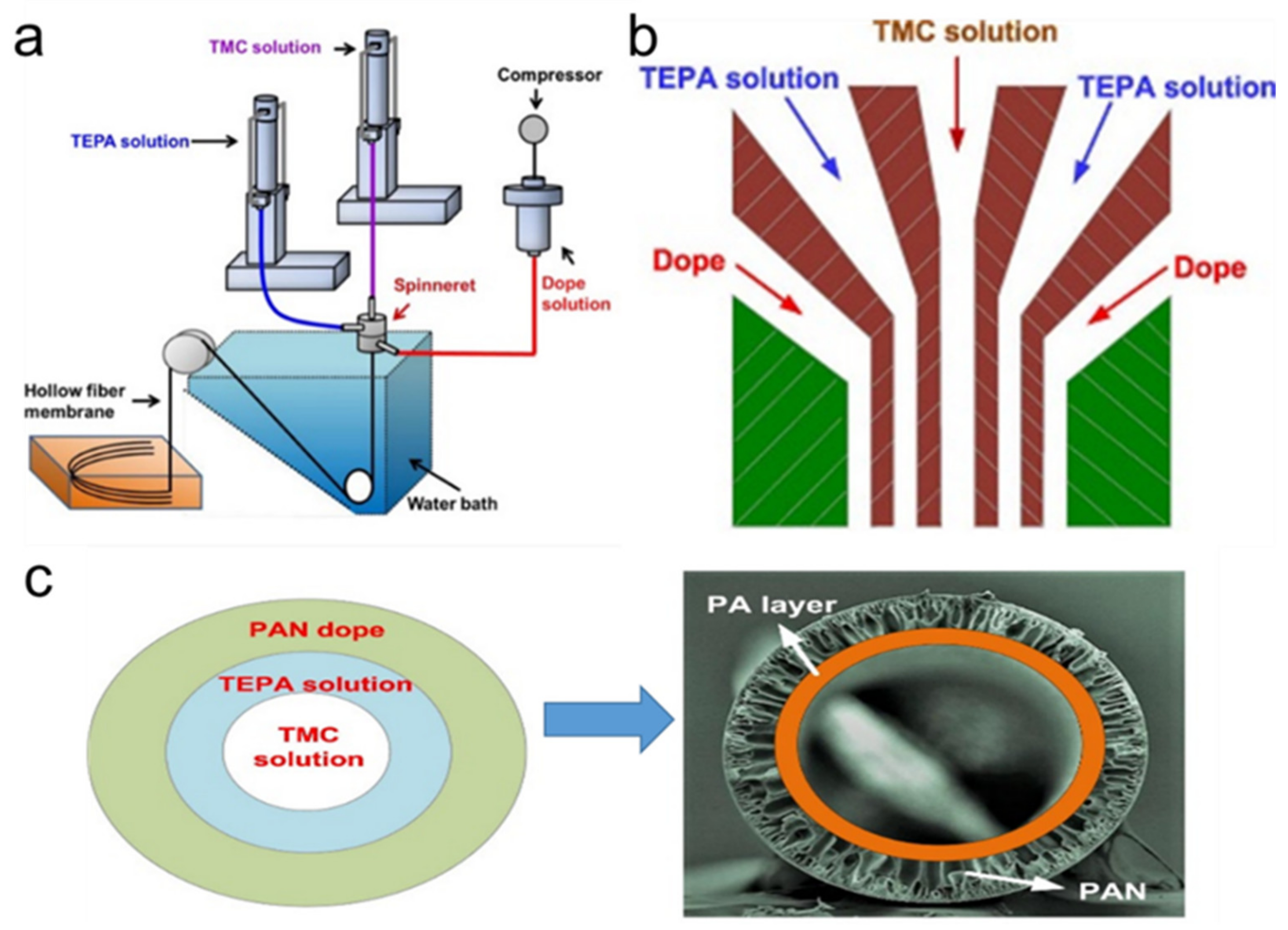Polymers 12 01466 g002