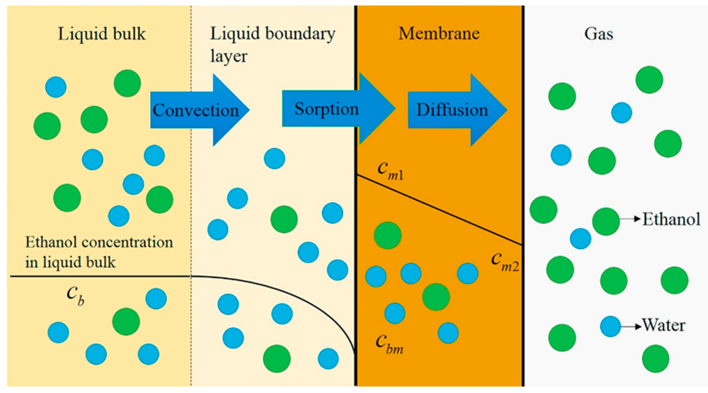 Polymers 12 01466 g011
